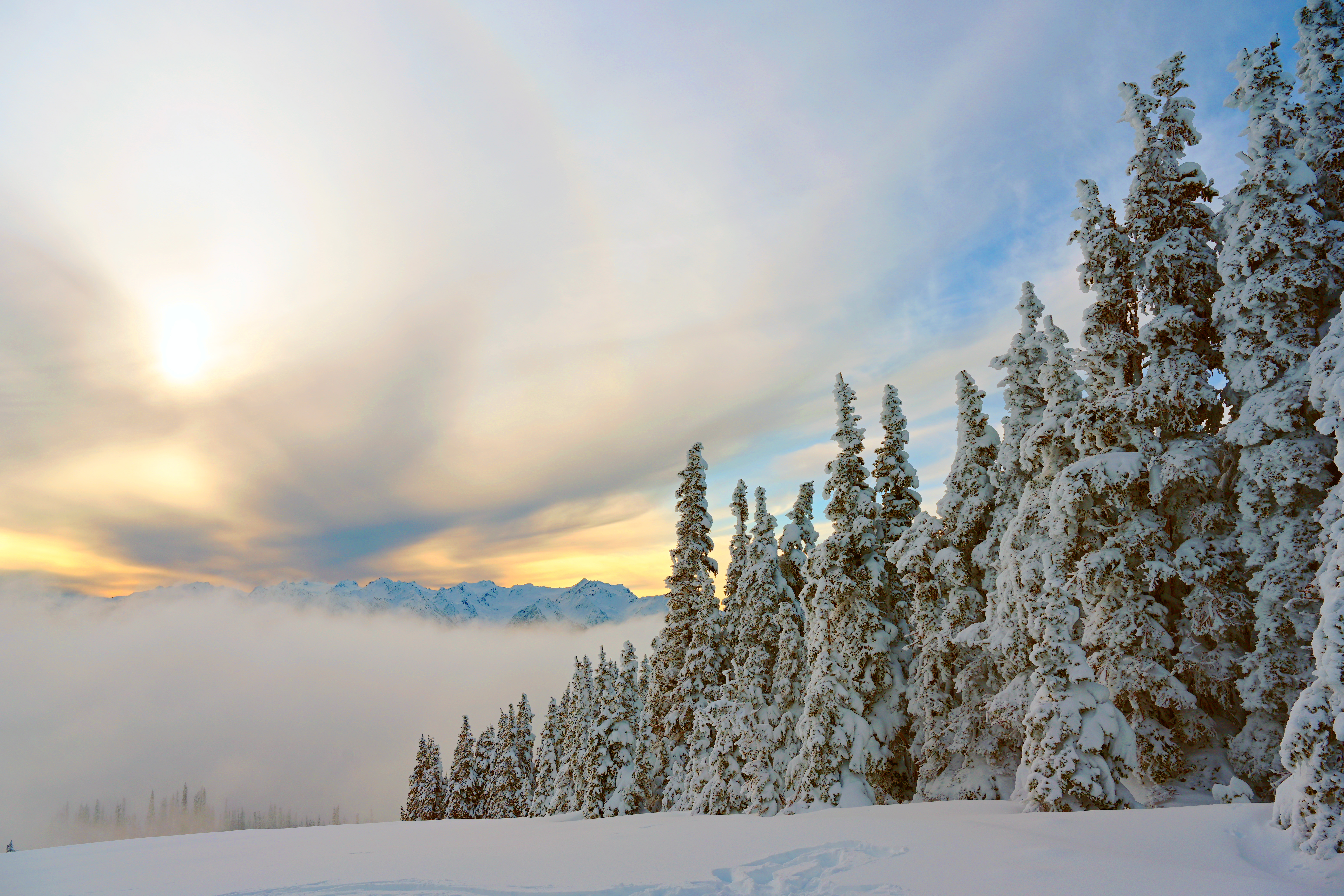 無料モバイル壁紙木, 山脈, スプルース, モミ, 積雪, 雪に覆われた, 自然, 雪をダウンロードします。