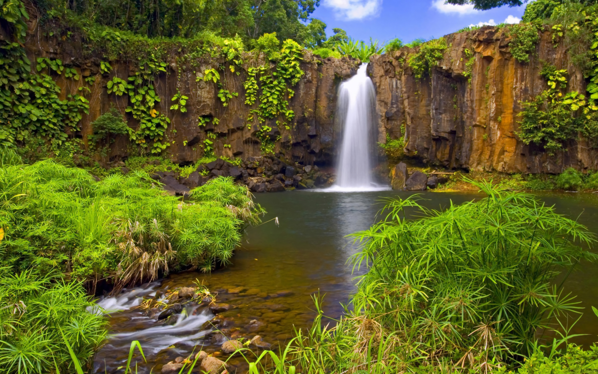 Free download wallpaper Waterfalls, Waterfall, Tree, Earth on your PC desktop