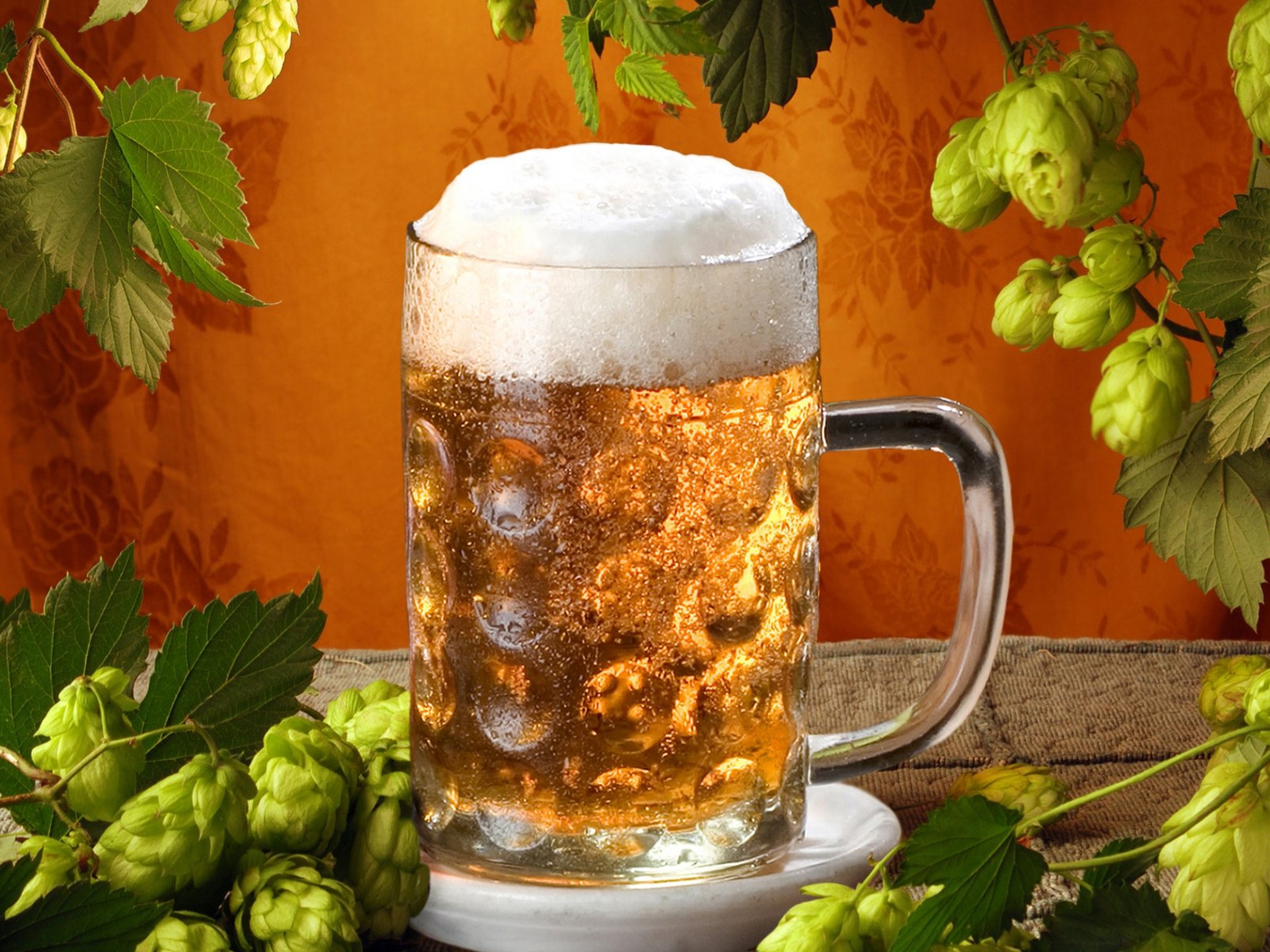 Download mobile wallpaper Food, Beer, Still Life, Glass for free.