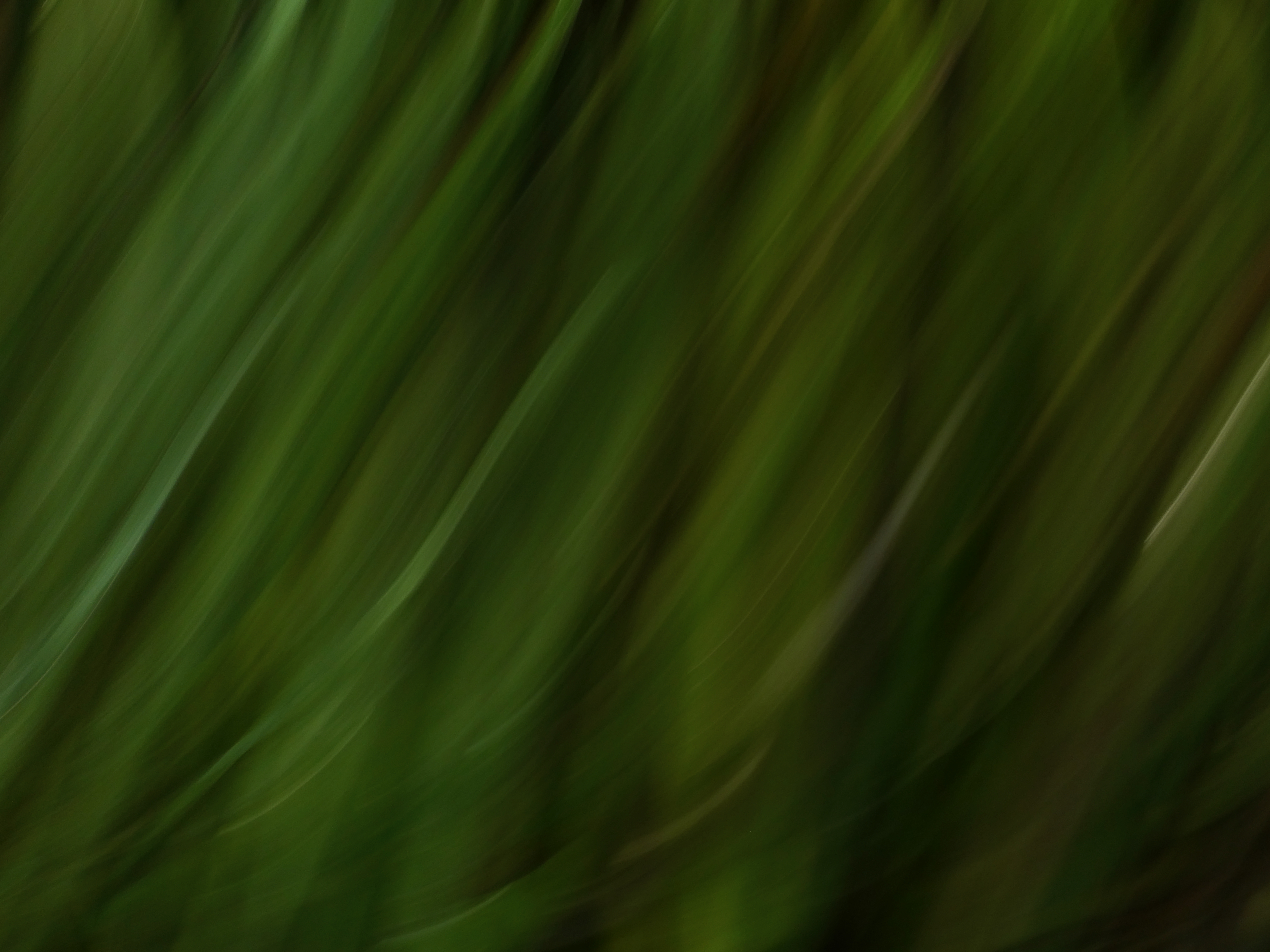 Free download wallpaper Abstract, Blur, Smooth, Streaks, Distortion, Lines, Stripes on your PC desktop