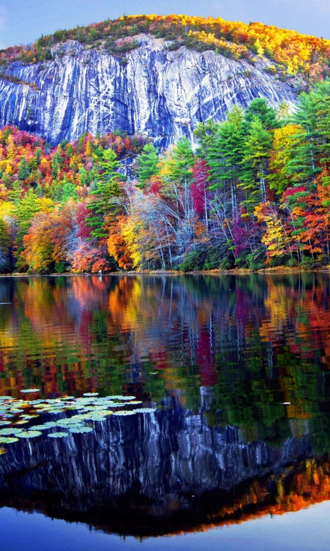 Download mobile wallpaper Mountain, Lake, Reflection, Forest, Tree, Fall, Earth for free.