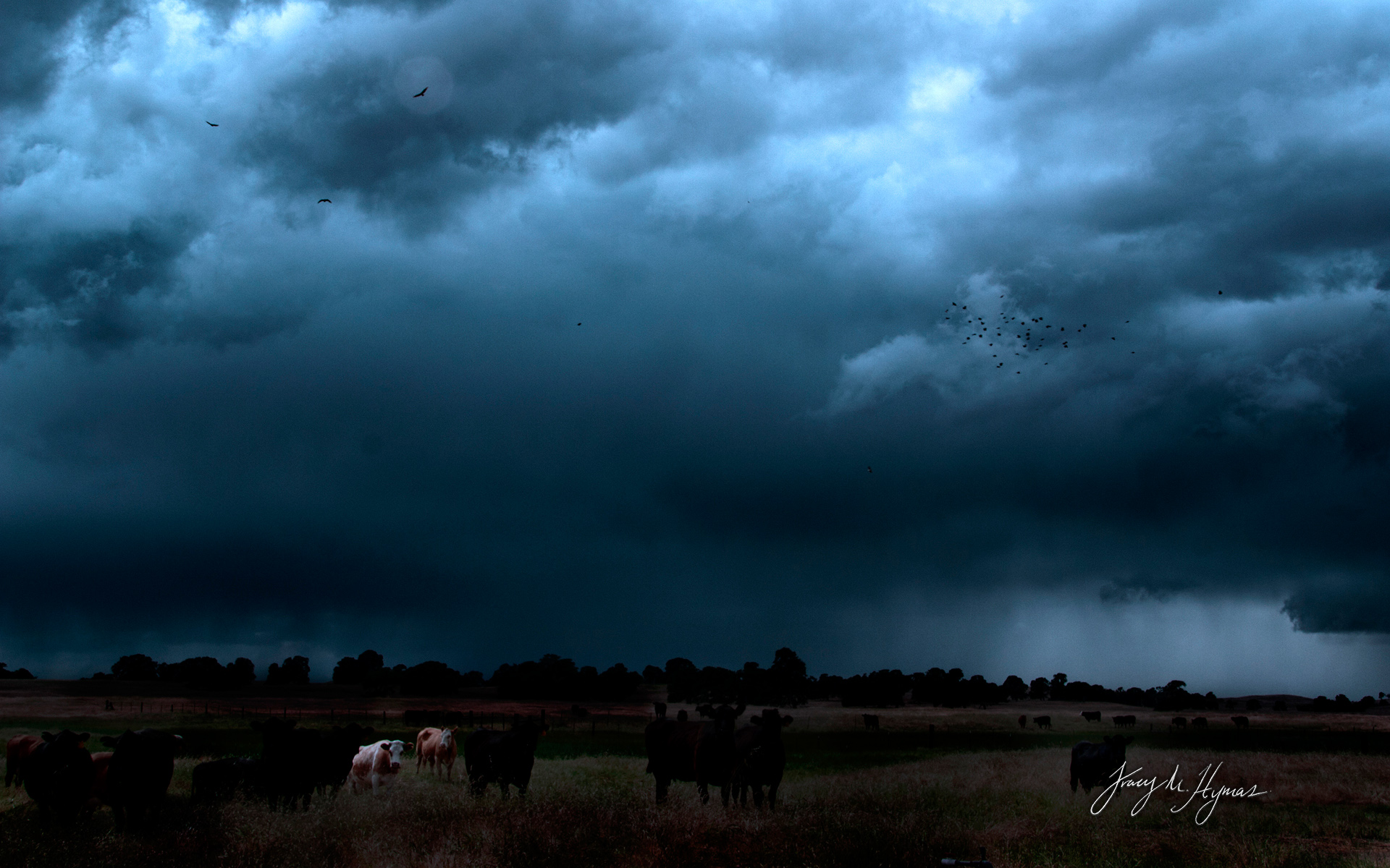 Baixar papel de parede para celular de Tempestade, Terra/natureza gratuito.