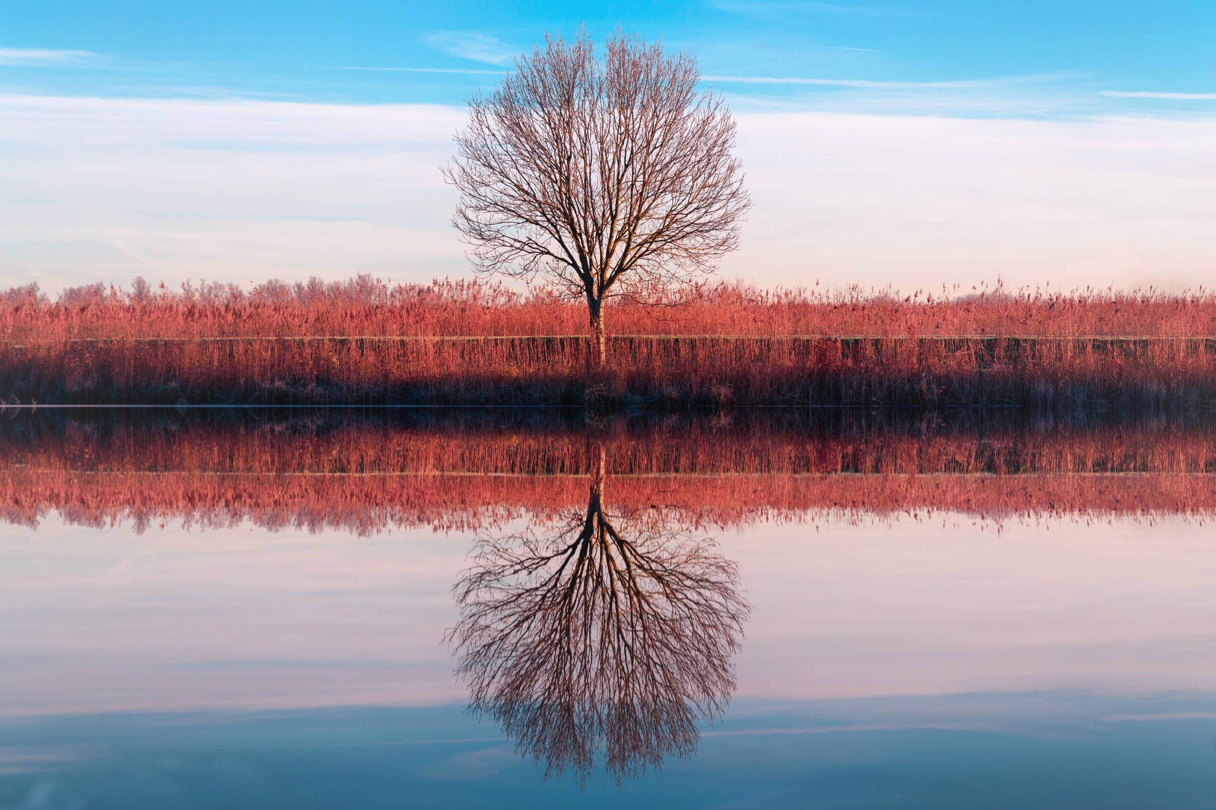 Free download wallpaper Nature, Reflection, Tree, Fall, Earth on your PC desktop