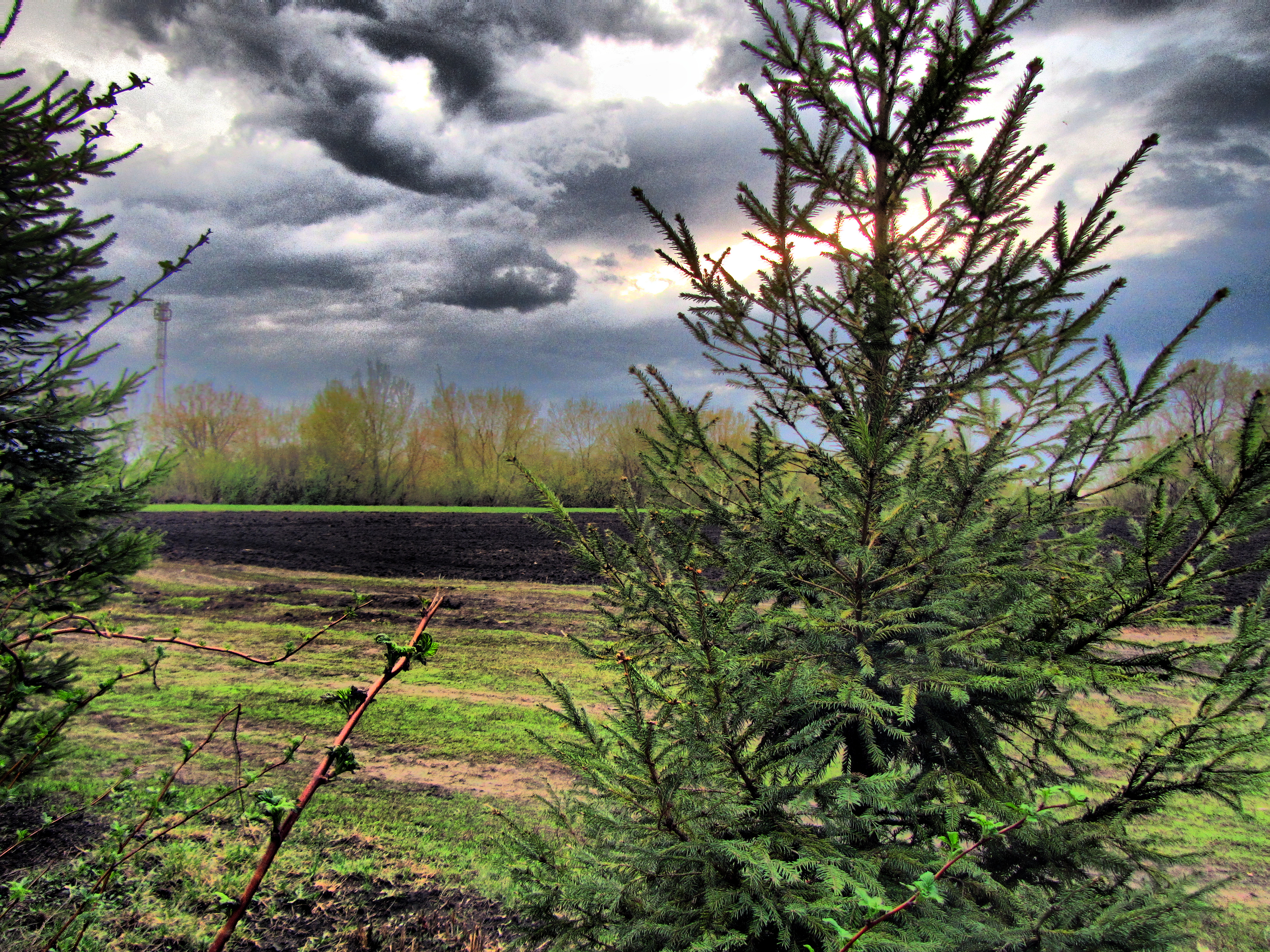 Handy-Wallpaper Hdr, Fotografie kostenlos herunterladen.