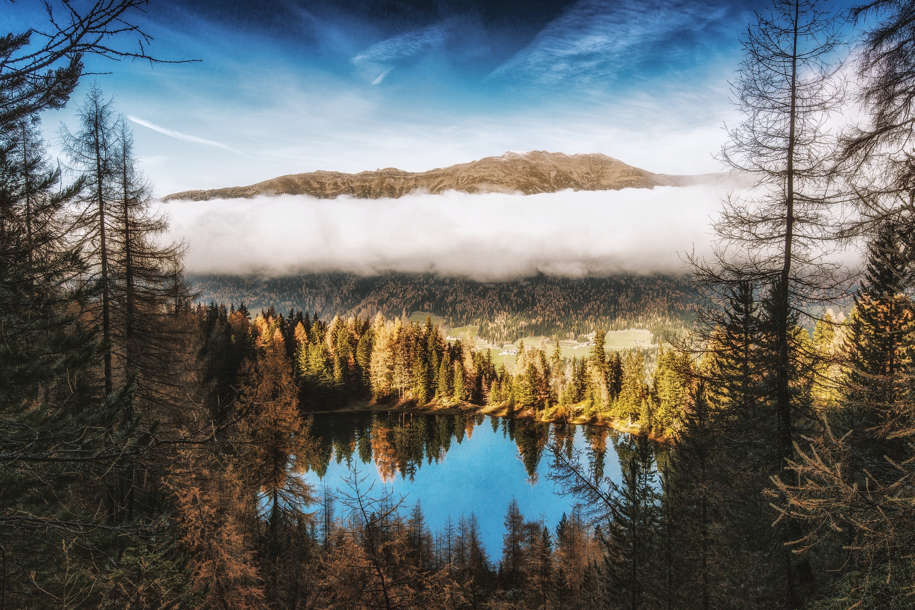 PCデスクトップに湖, 山, 地球, 松の木, クラウド画像を無料でダウンロード