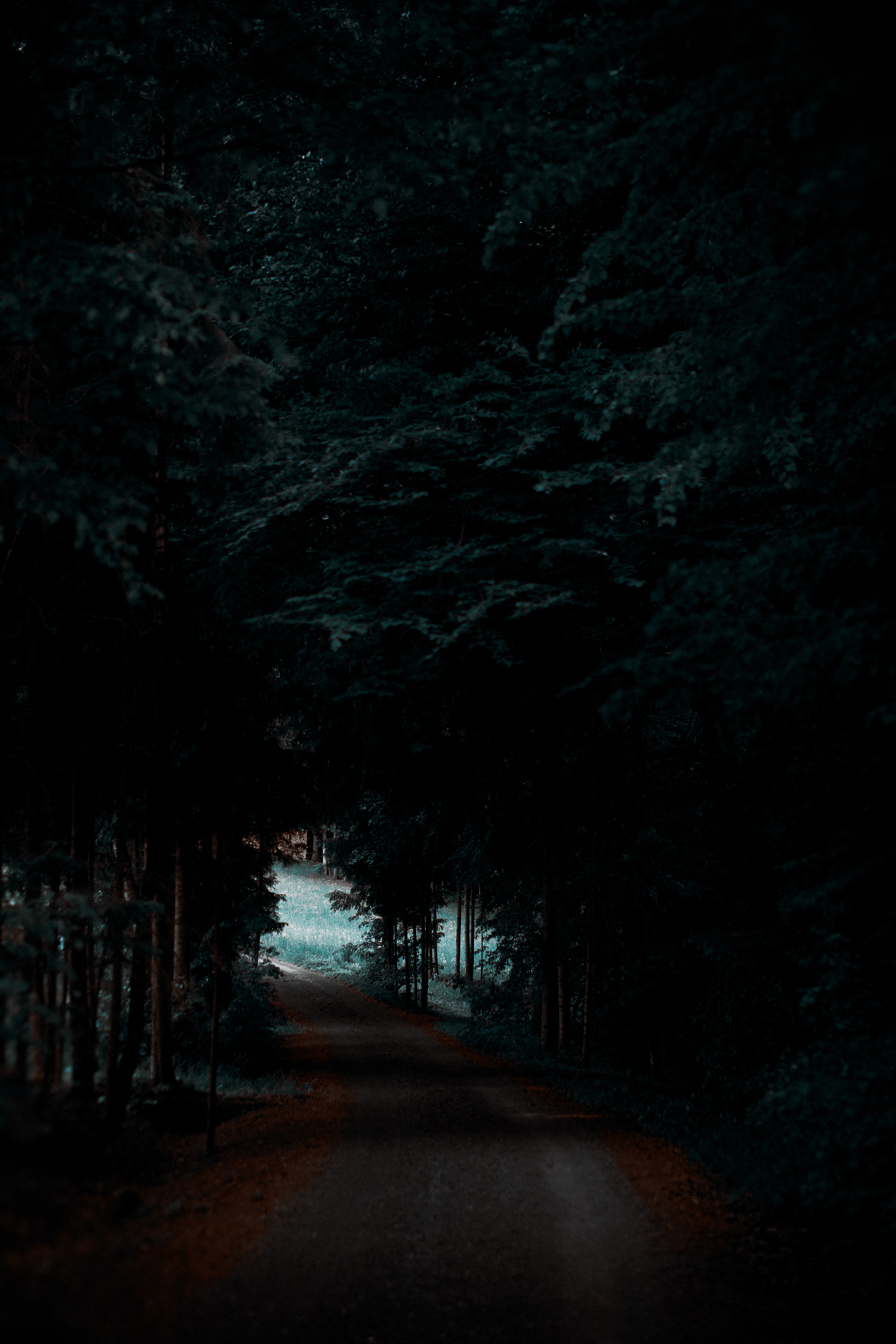 Free download wallpaper Shadow, Path, Nature, Dark, Forest, Trees on your PC desktop