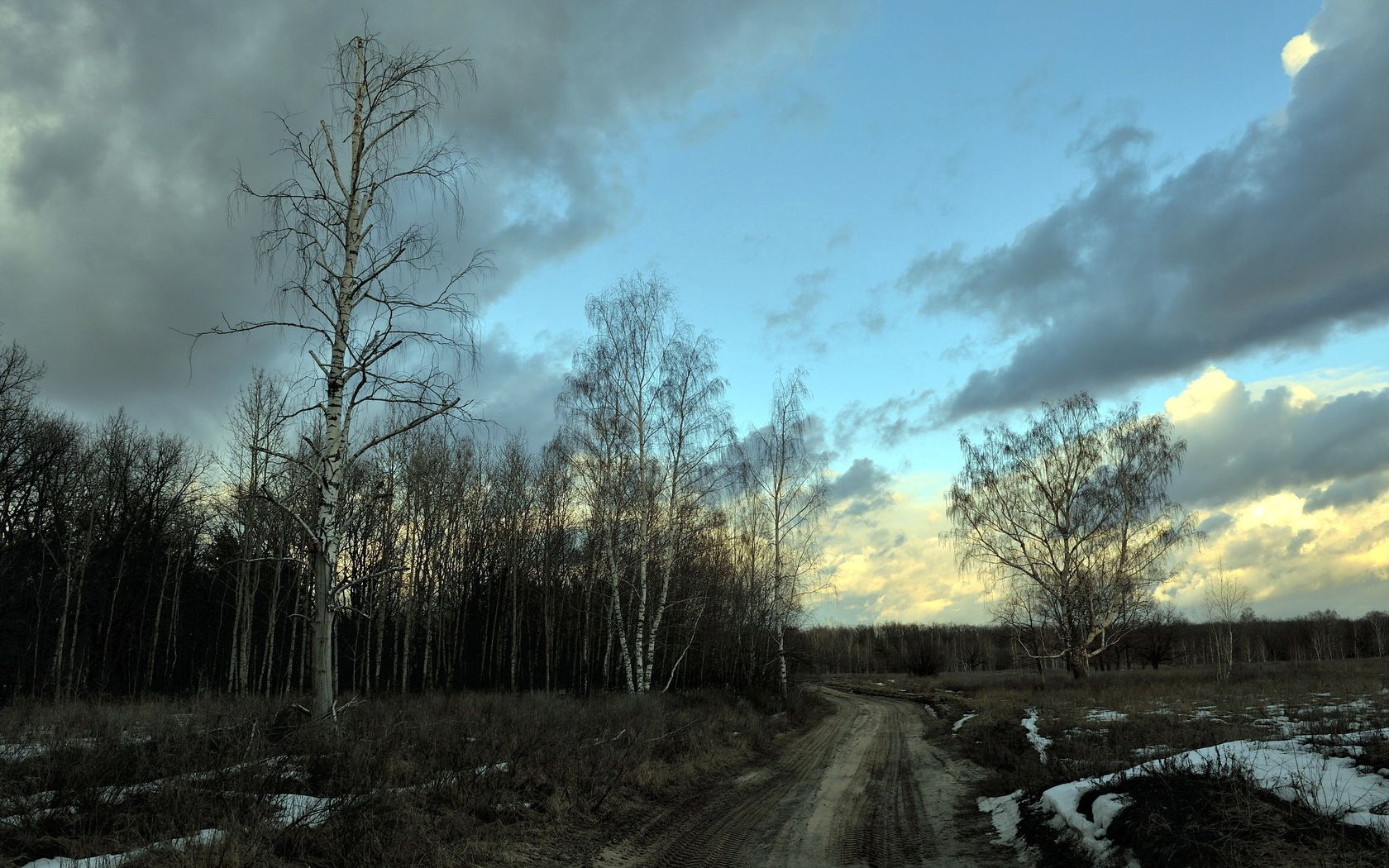 Free download wallpaper Snow, Birches, Road, Grey, Evening, Nature, Spring on your PC desktop