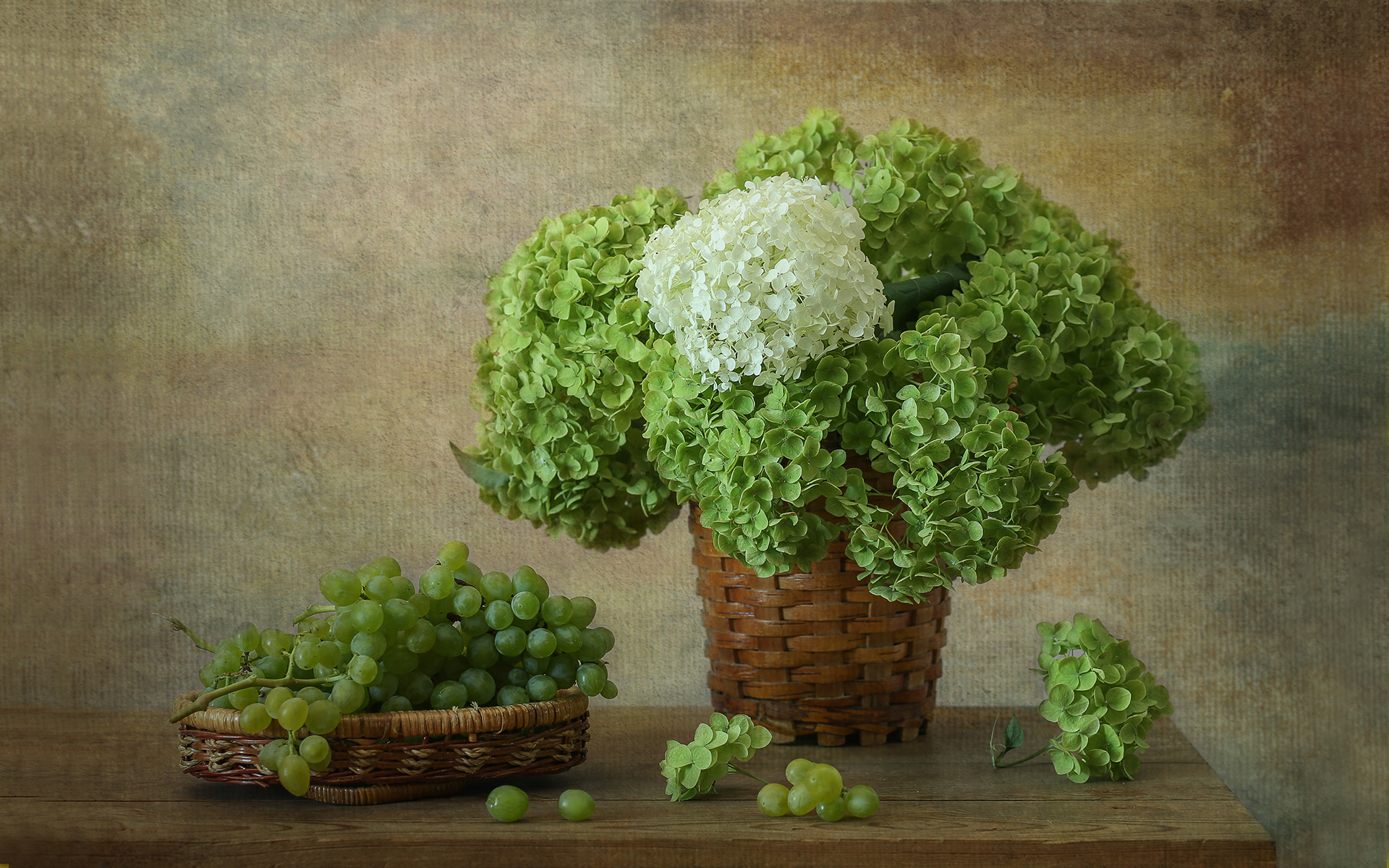 Free download wallpaper Grapes, Still Life, Flower, Basket, Hydrangea, Photography on your PC desktop