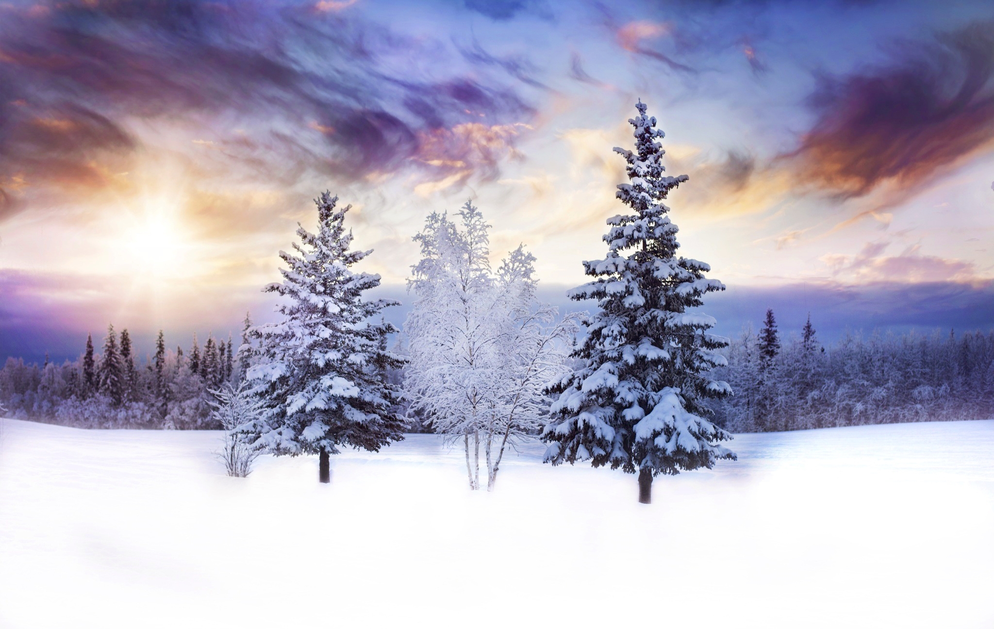 Download mobile wallpaper Winter, Snow, Tree, Earth for free.