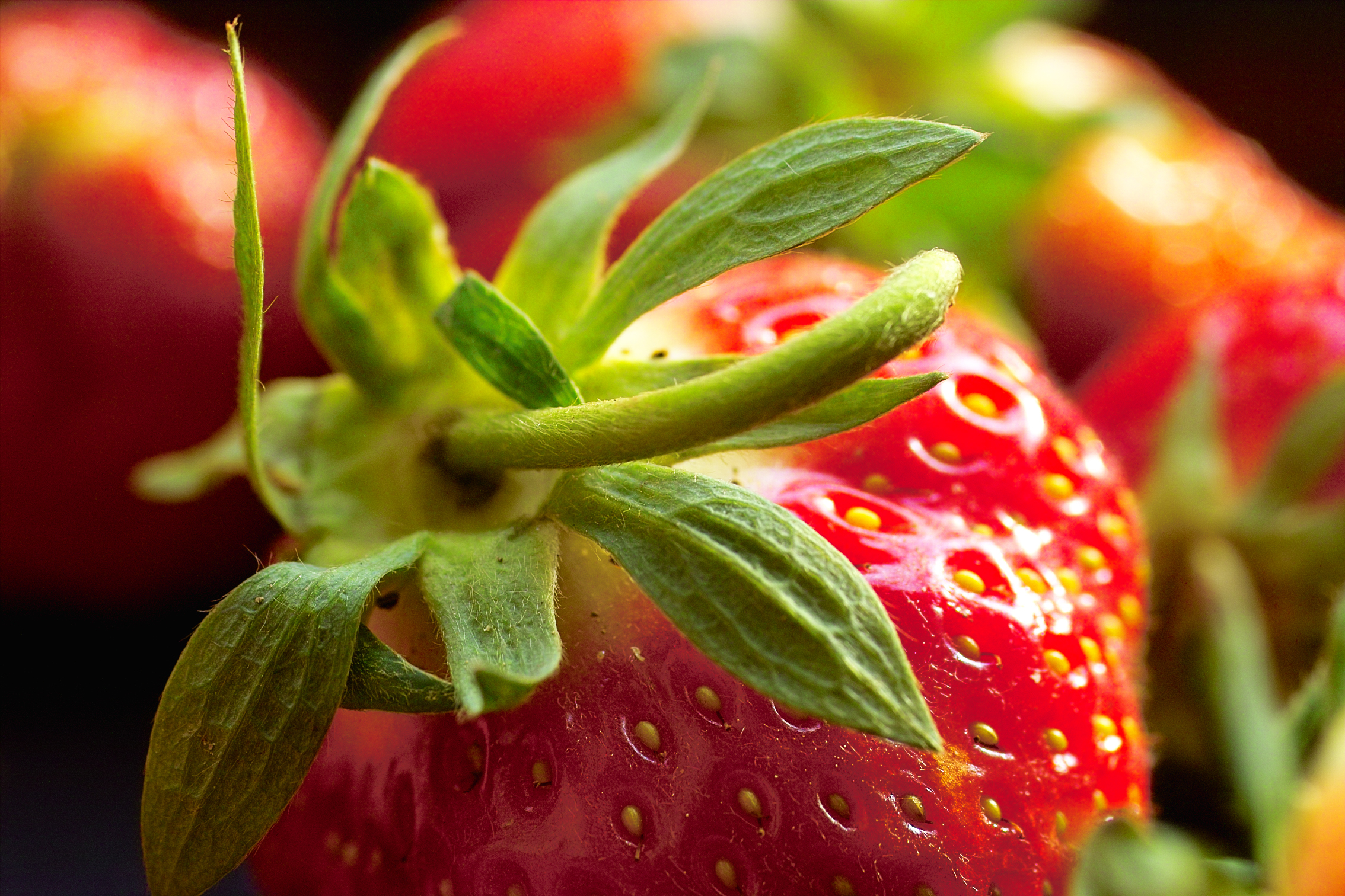 Handy-Wallpaper Erdbeere, Frucht, Früchte, Nahrungsmittel kostenlos herunterladen.