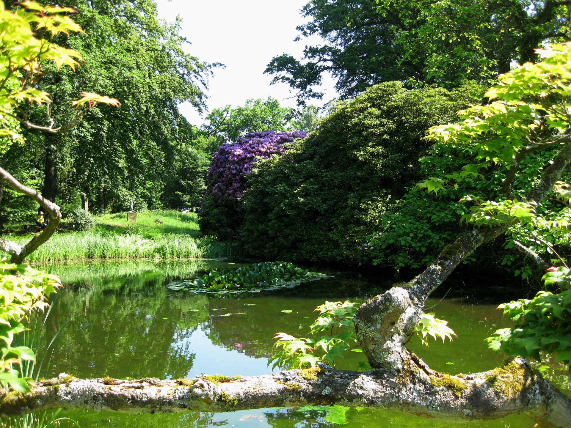 Laden Sie das Park, Fotografie-Bild kostenlos auf Ihren PC-Desktop herunter