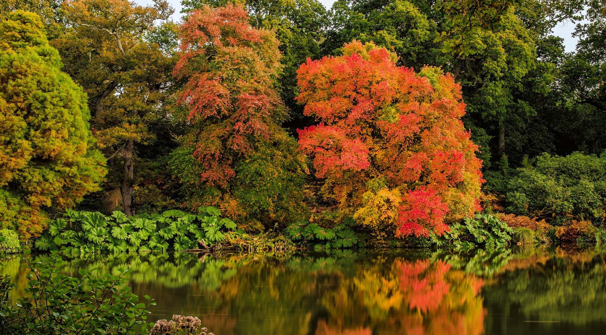 Handy-Wallpaper Herbst, See, Baum, Teich, Erde/natur, Spiegelung kostenlos herunterladen.