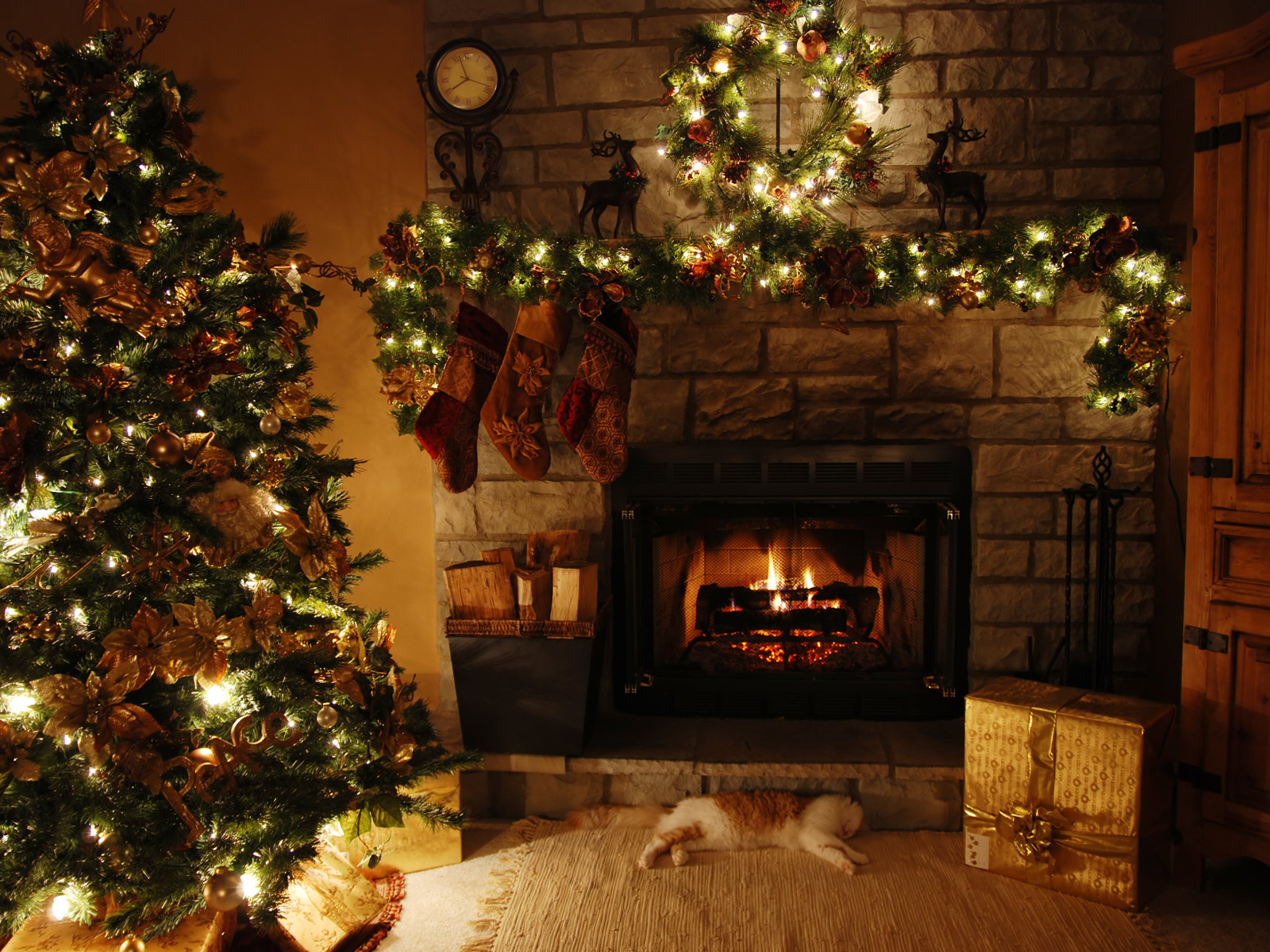 Handy-Wallpaper Feiertage, Weihnachten, Katze, Geschenk, Weihnachtsschmuck, Weihnachtsbaum, Kamin kostenlos herunterladen.