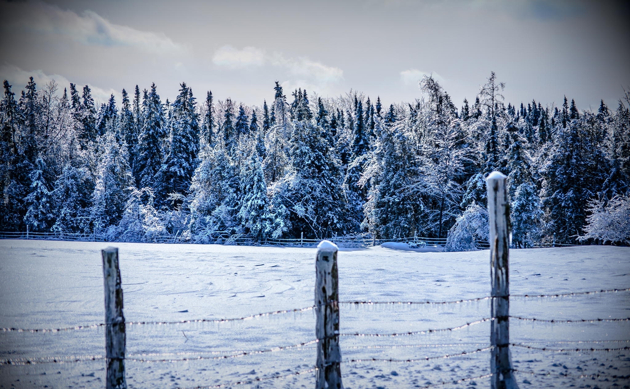 Скачать обои бесплатно Забор, Снег, Природа, Деревья, Зима картинка на рабочий стол ПК