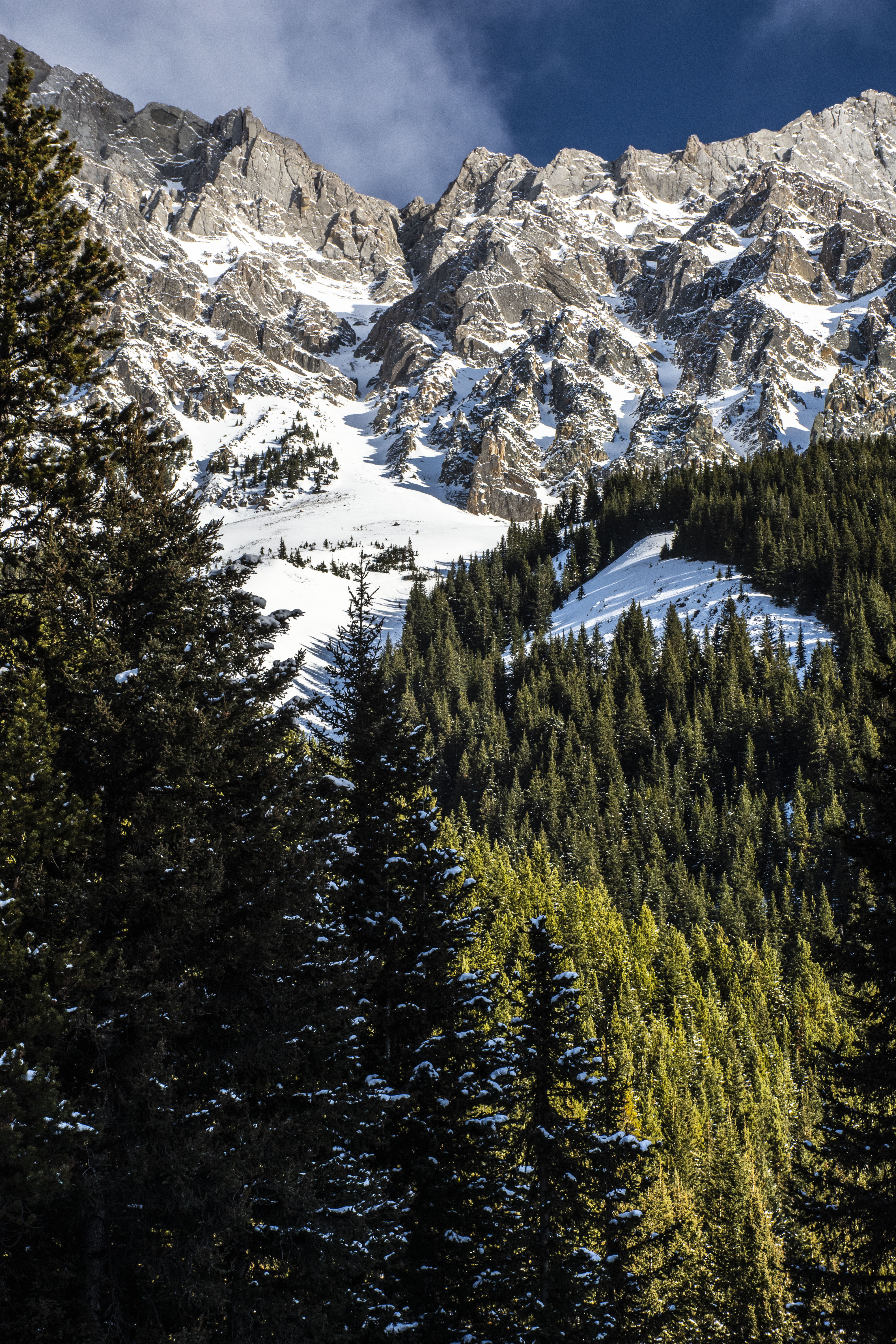 Handy-Wallpaper Natur, Bäume, Schnee, Berg, Wald, Landschaft, Winter kostenlos herunterladen.