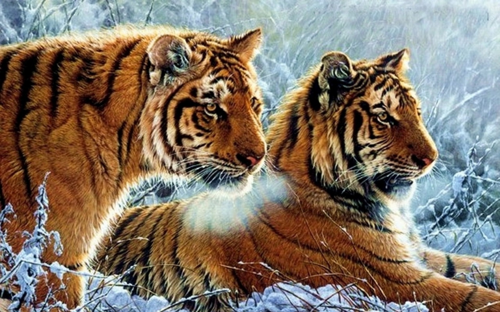 Free download wallpaper Cats, Tiger, Animal on your PC desktop