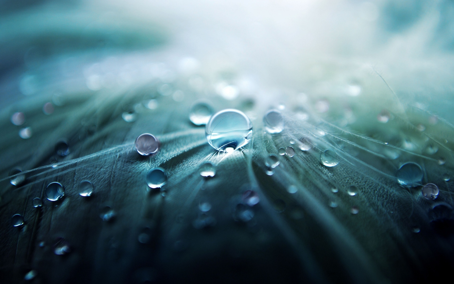 Free download wallpaper Earth, Water Drop on your PC desktop