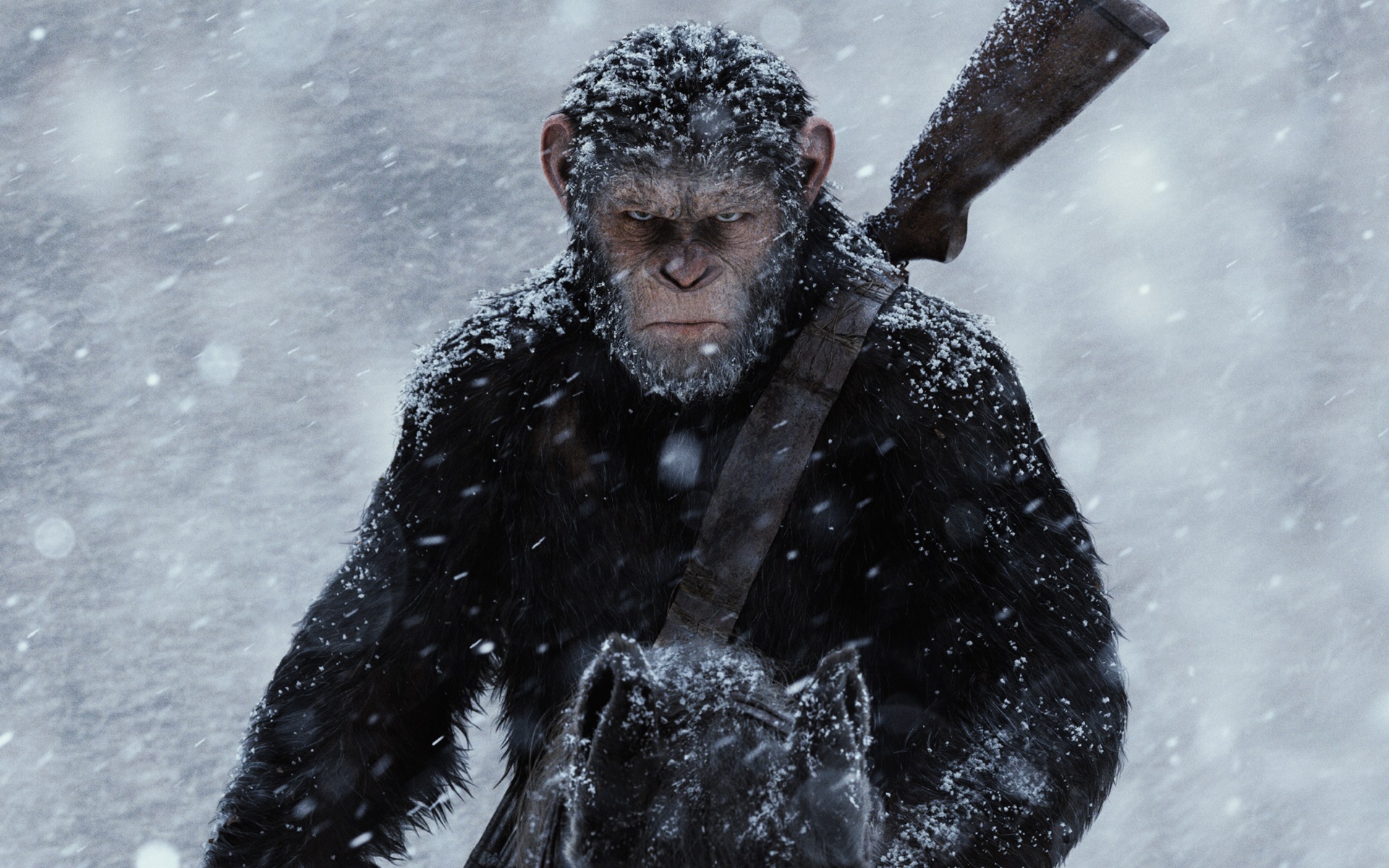 movie, war for the planet of the apes