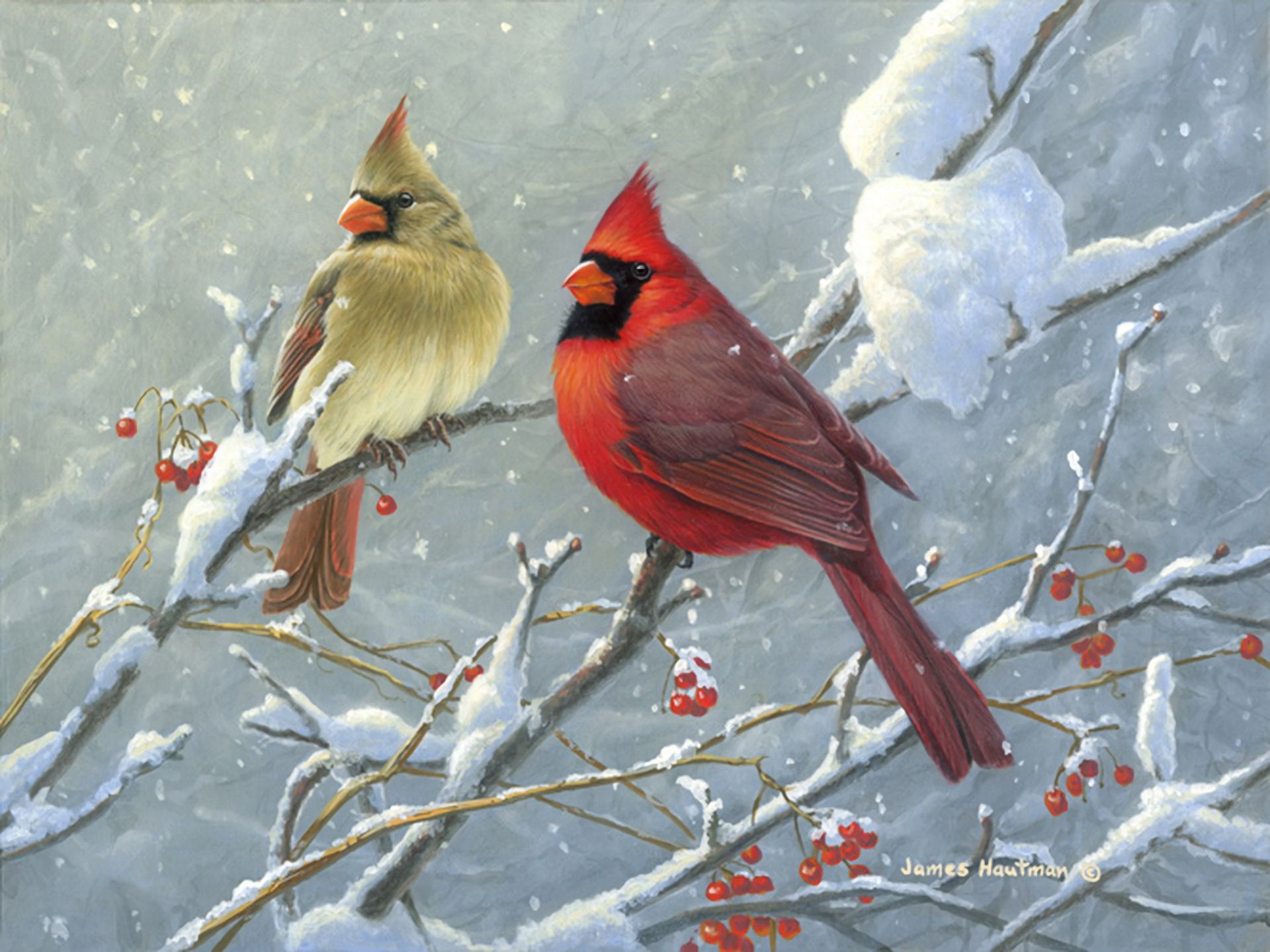 Free download wallpaper Winter, Snow, Branch, Berry, Painting, Artistic, Cardinal on your PC desktop