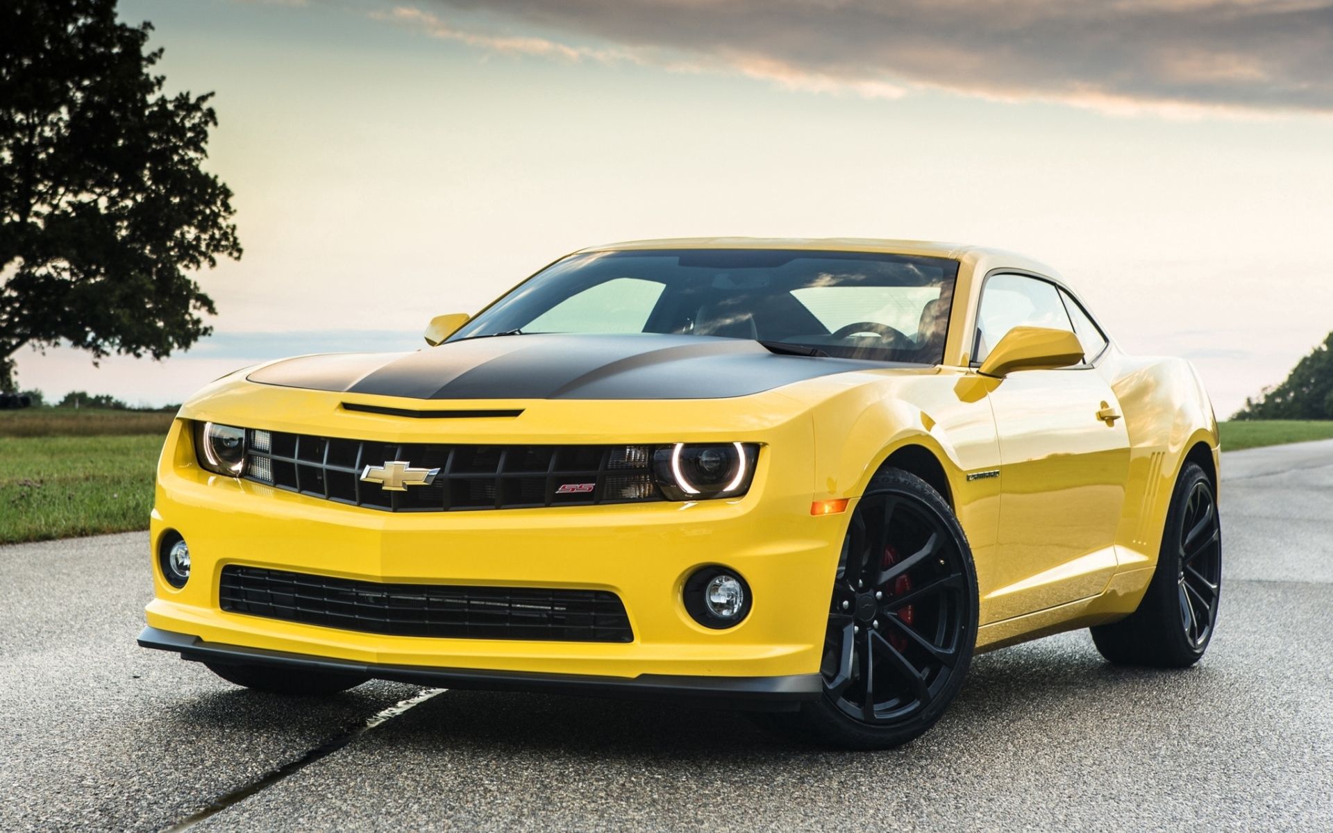 muscle car, cars, chevrolet, camaro, sky, yellow, wood, road, tree, front end, limber, 1le Full HD