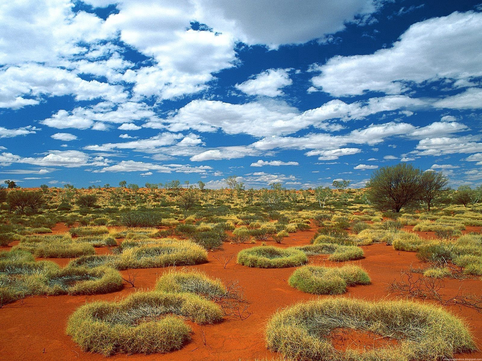 Скачать картинку Облака, Растительность, Небо, Песок, Австралия, Природа в телефон бесплатно.