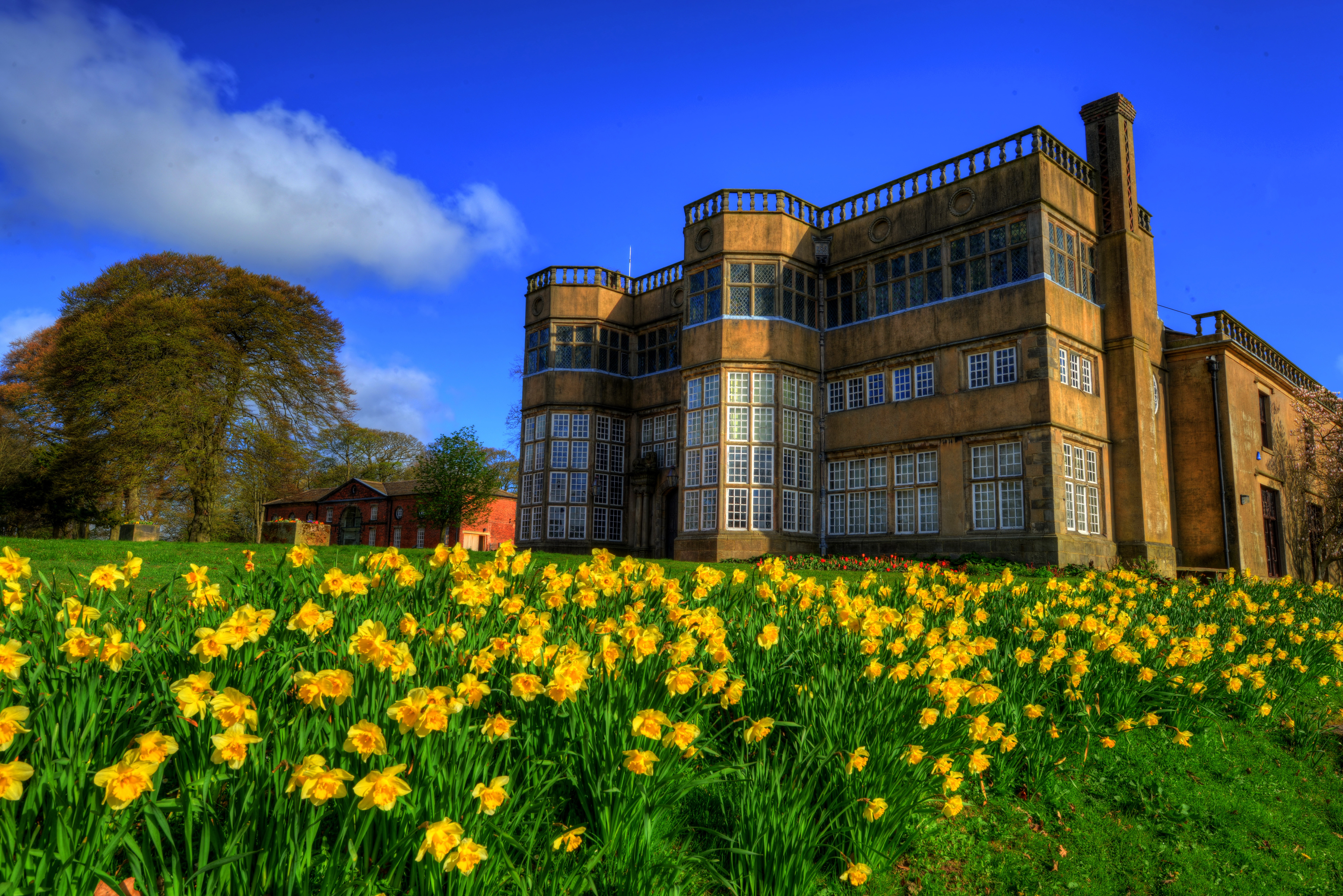 Download mobile wallpaper Meadow, Palace, England, Yellow Flower, Man Made, Daffodil, Chorley Palace, Palaces for free.