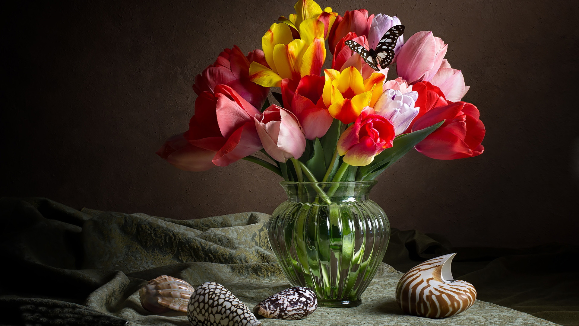 Download mobile wallpaper Still Life, Tulip, Photography for free.