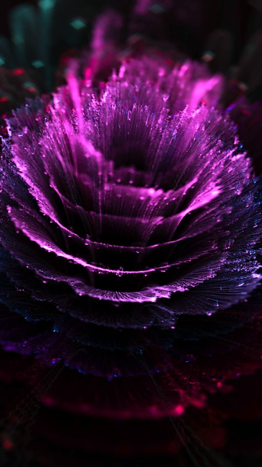 Descarga gratuita de fondo de pantalla para móvil de Violeta, Flor, Púrpura, Abstracto, Fractales.