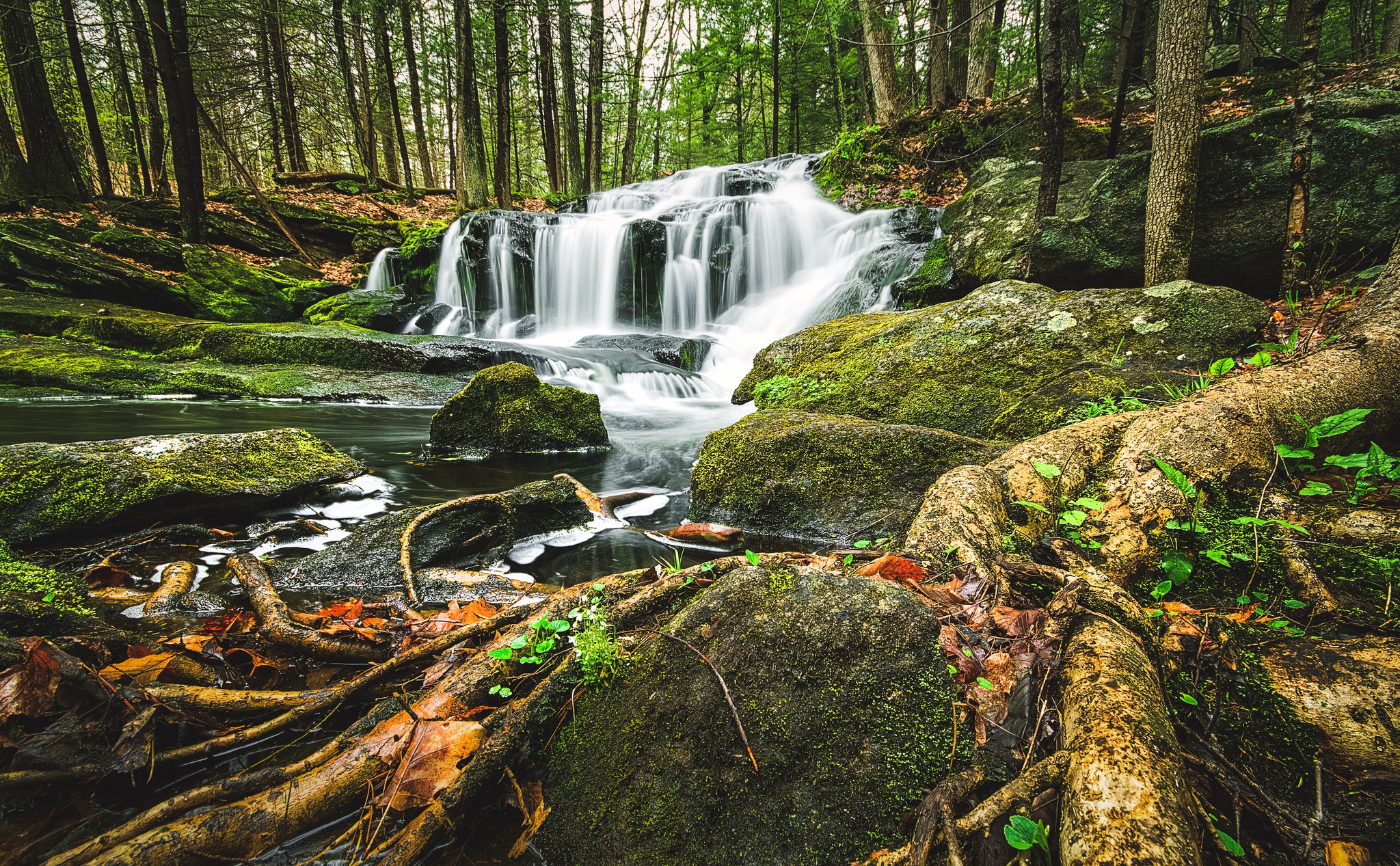 Téléchargez gratuitement l'image Cascades, Forêt, Flux, La Nature, Terre/nature, Chûte D'eau sur le bureau de votre PC