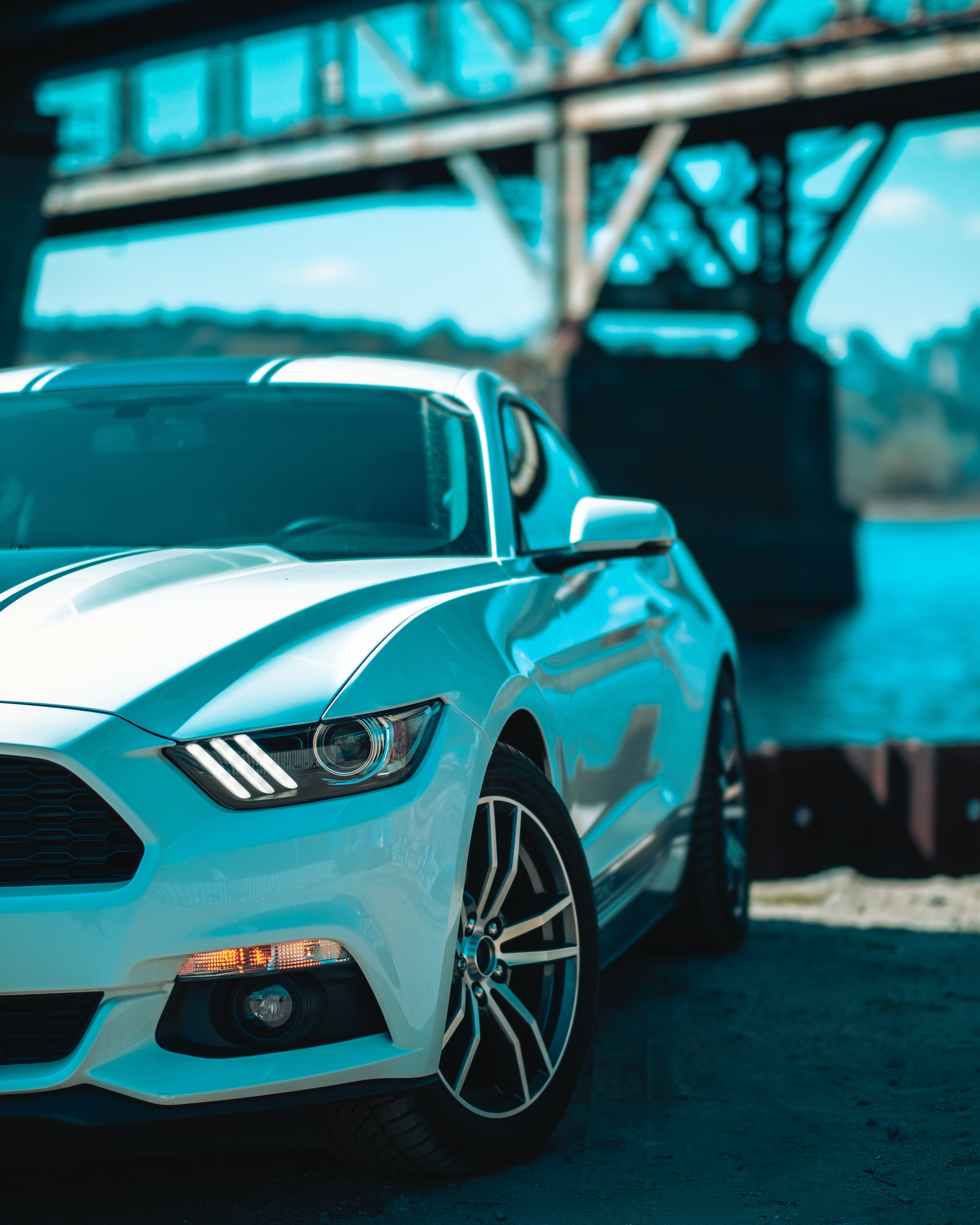 ford mustang, front view, headlight, cars, wheels