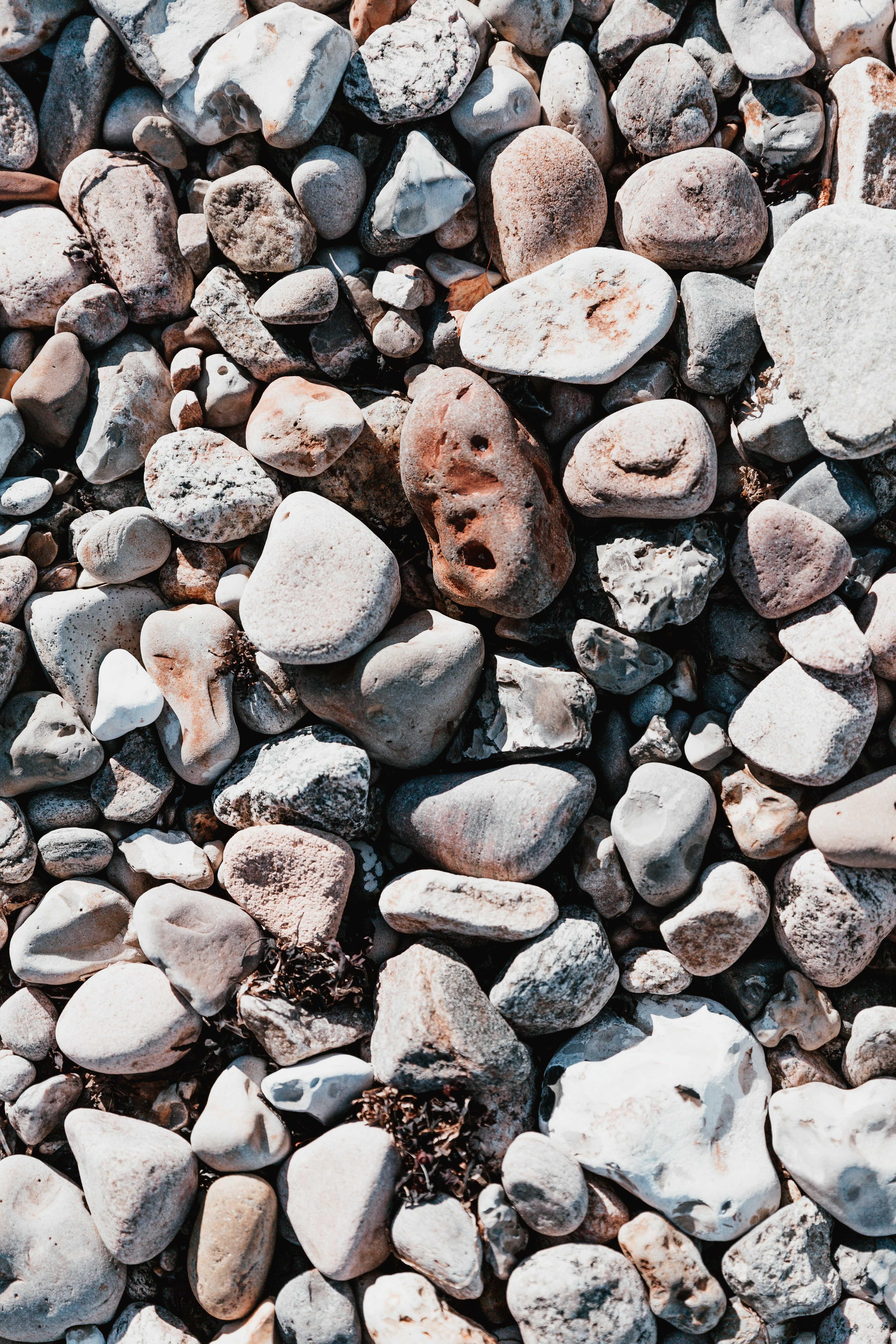 124384 descargar fondo de pantalla naturaleza, guijarro, la forma, forma, piedras de mar, piedras marinas: protectores de pantalla e imágenes gratis