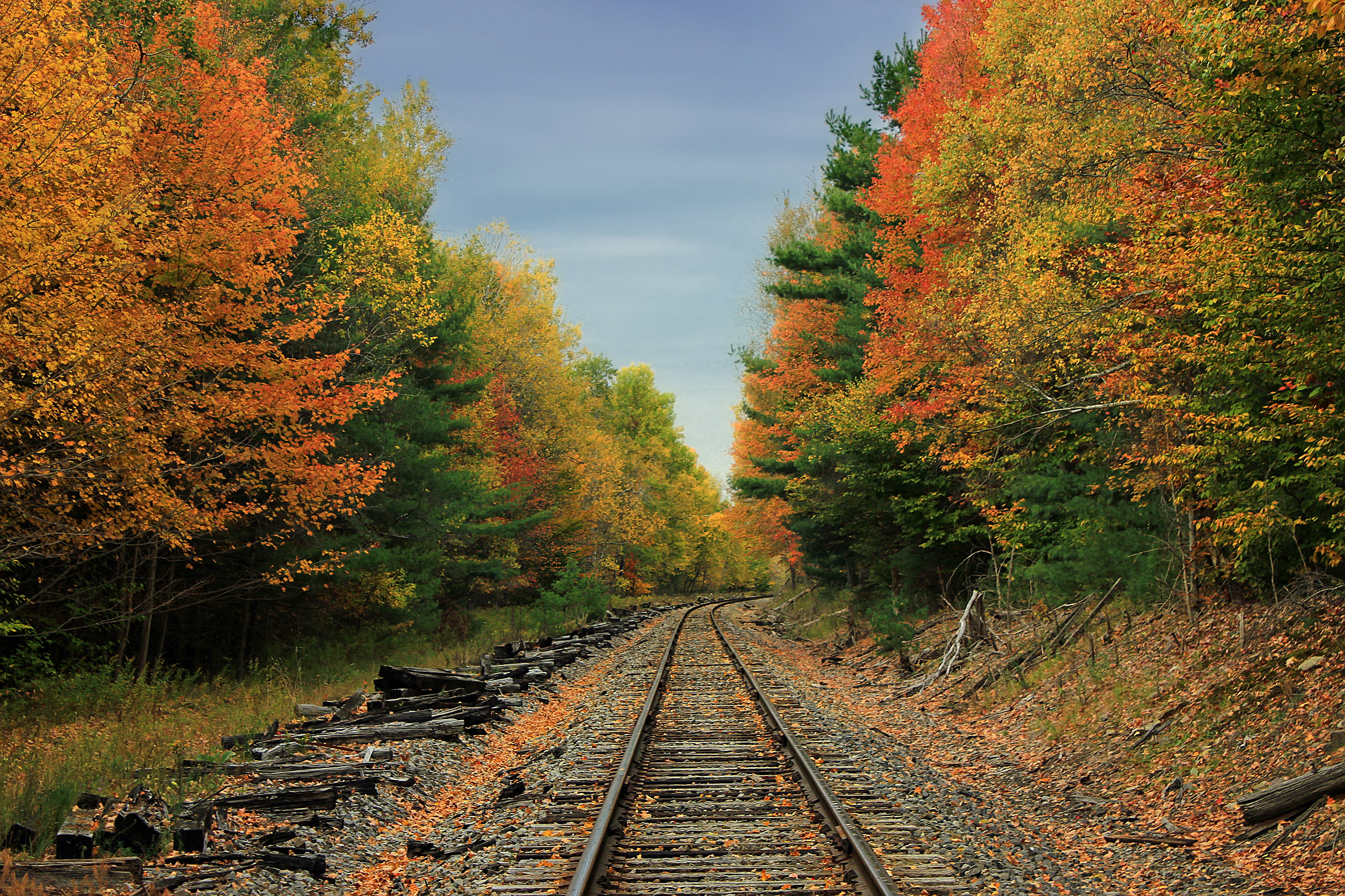 railway, nature, trees, autumn, road, forest