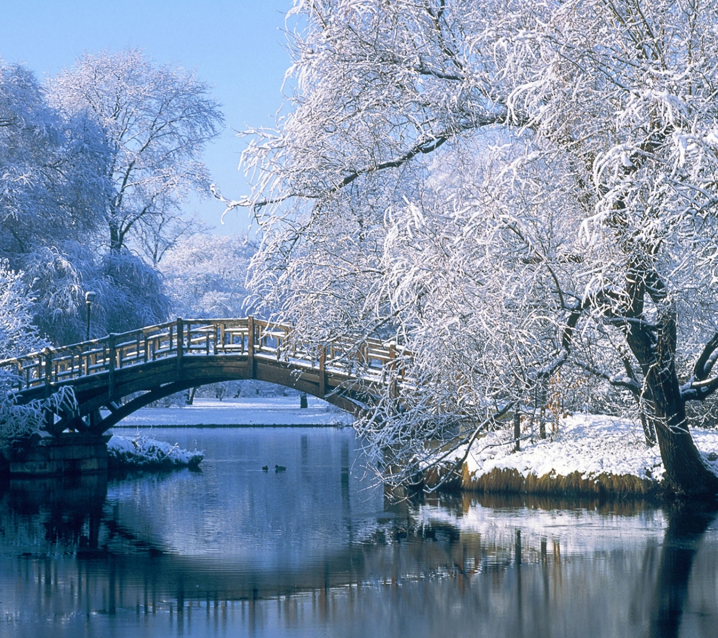 Free download wallpaper Landscape, Winter, Water, Snow, Reflection, Tree, Bridge, Pond, Photography on your PC desktop