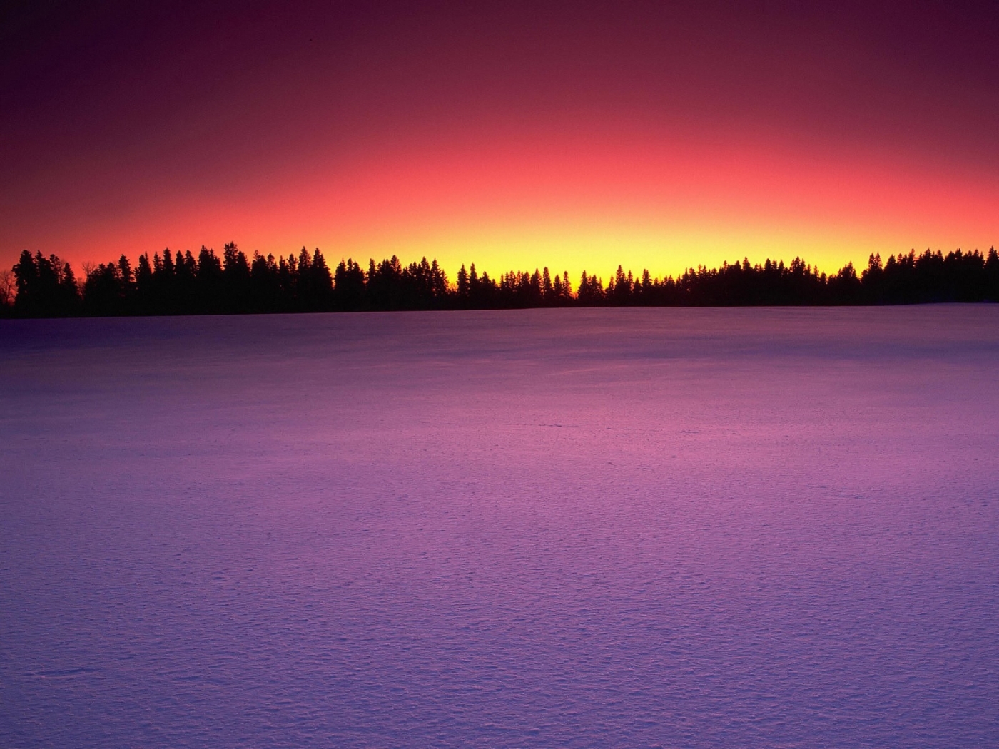 PCデスクトップに雪, 風景, 冬, 木, 日没画像を無料でダウンロード