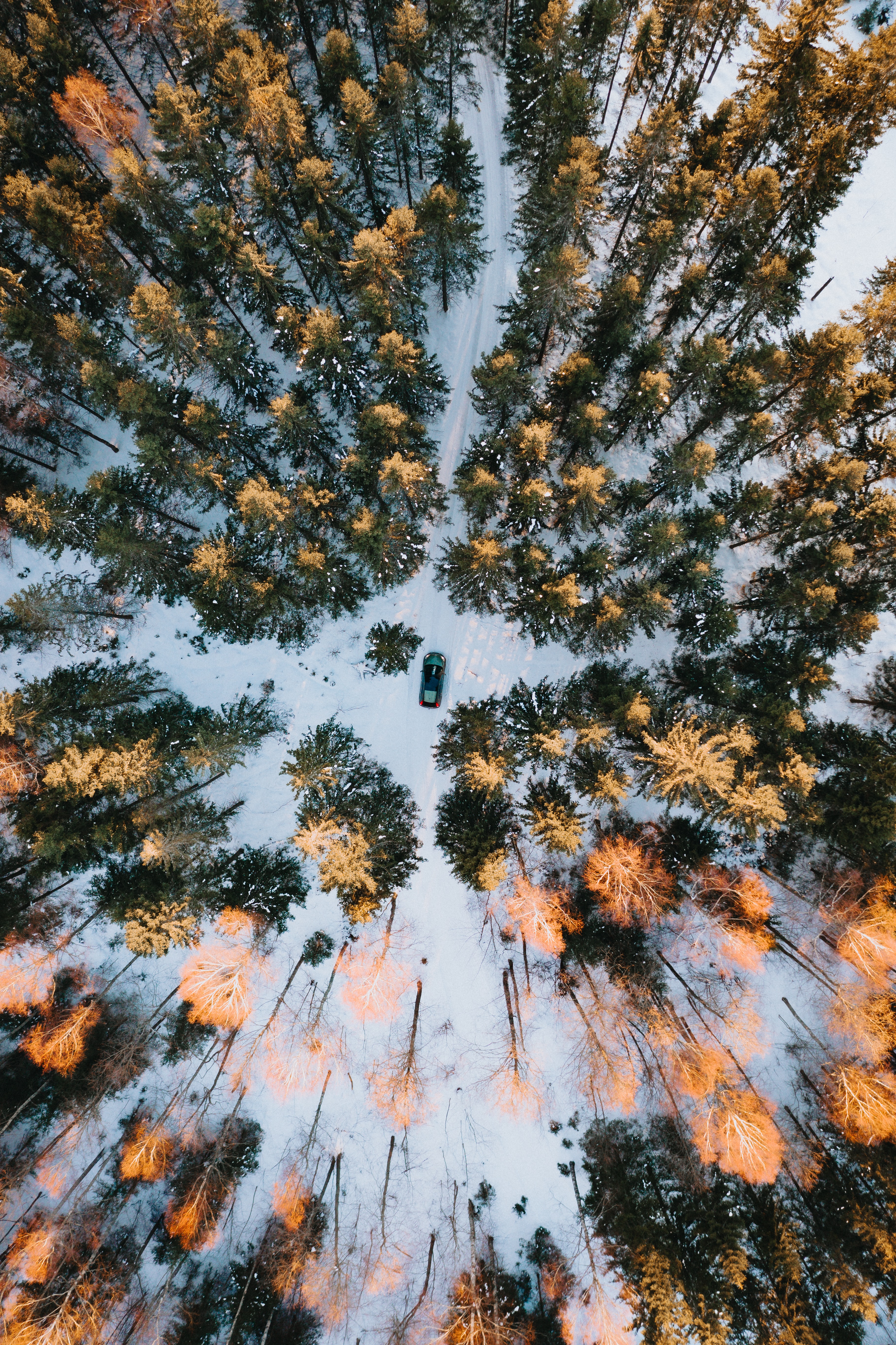 Download mobile wallpaper Snow, Forest, View From Above, Winter, Nature, Car for free.