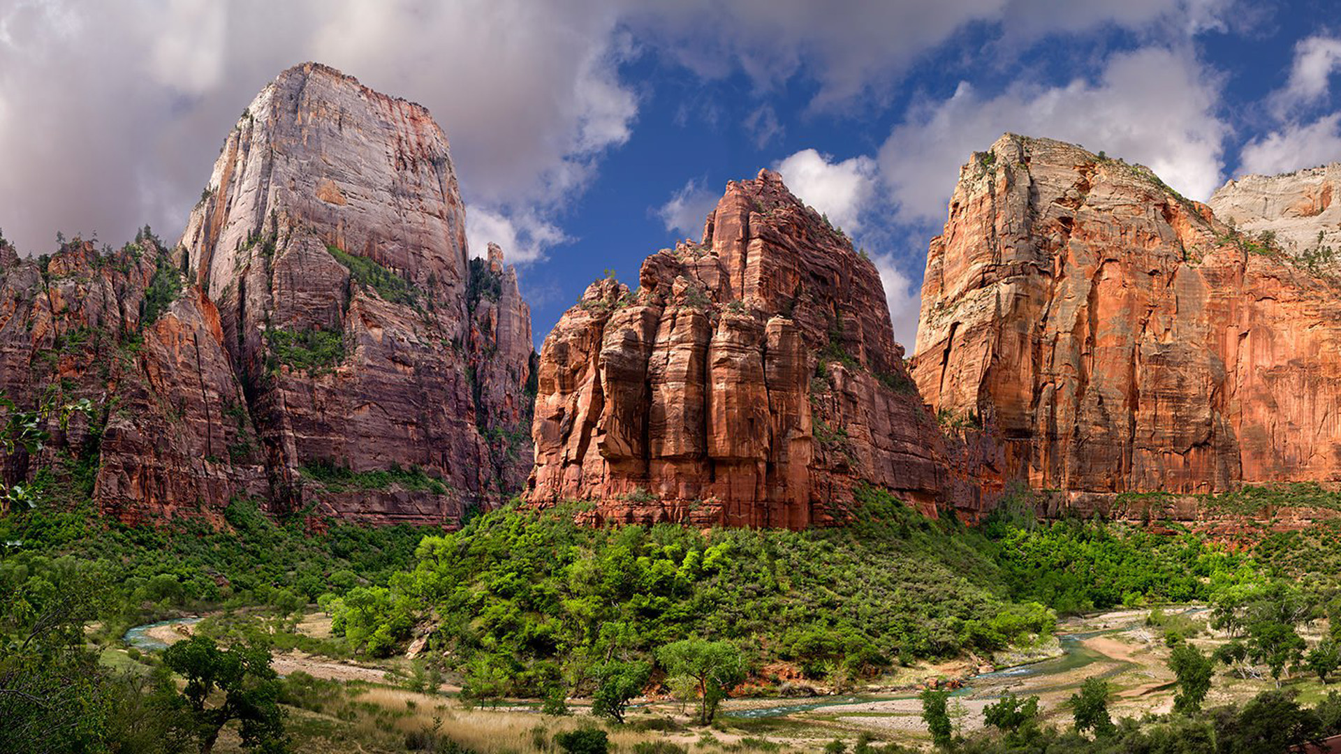 zion national park, earth, canyon, cliff, mountain, tree, national park