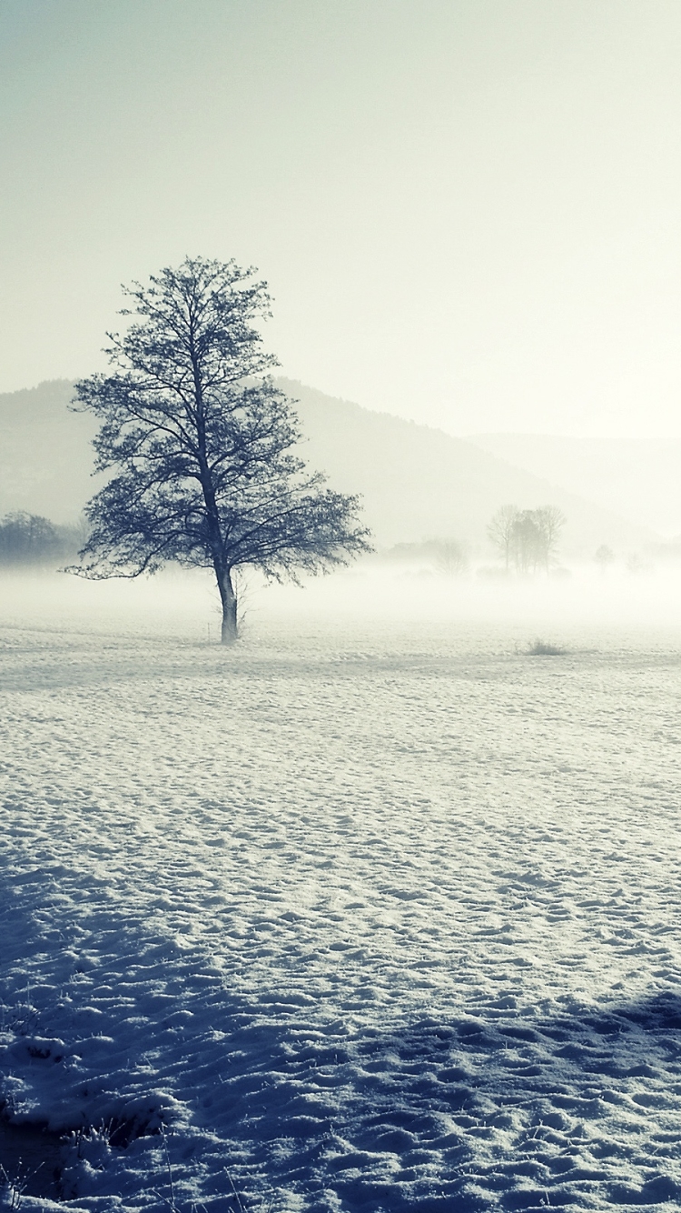 Download mobile wallpaper Winter, Artistic for free.