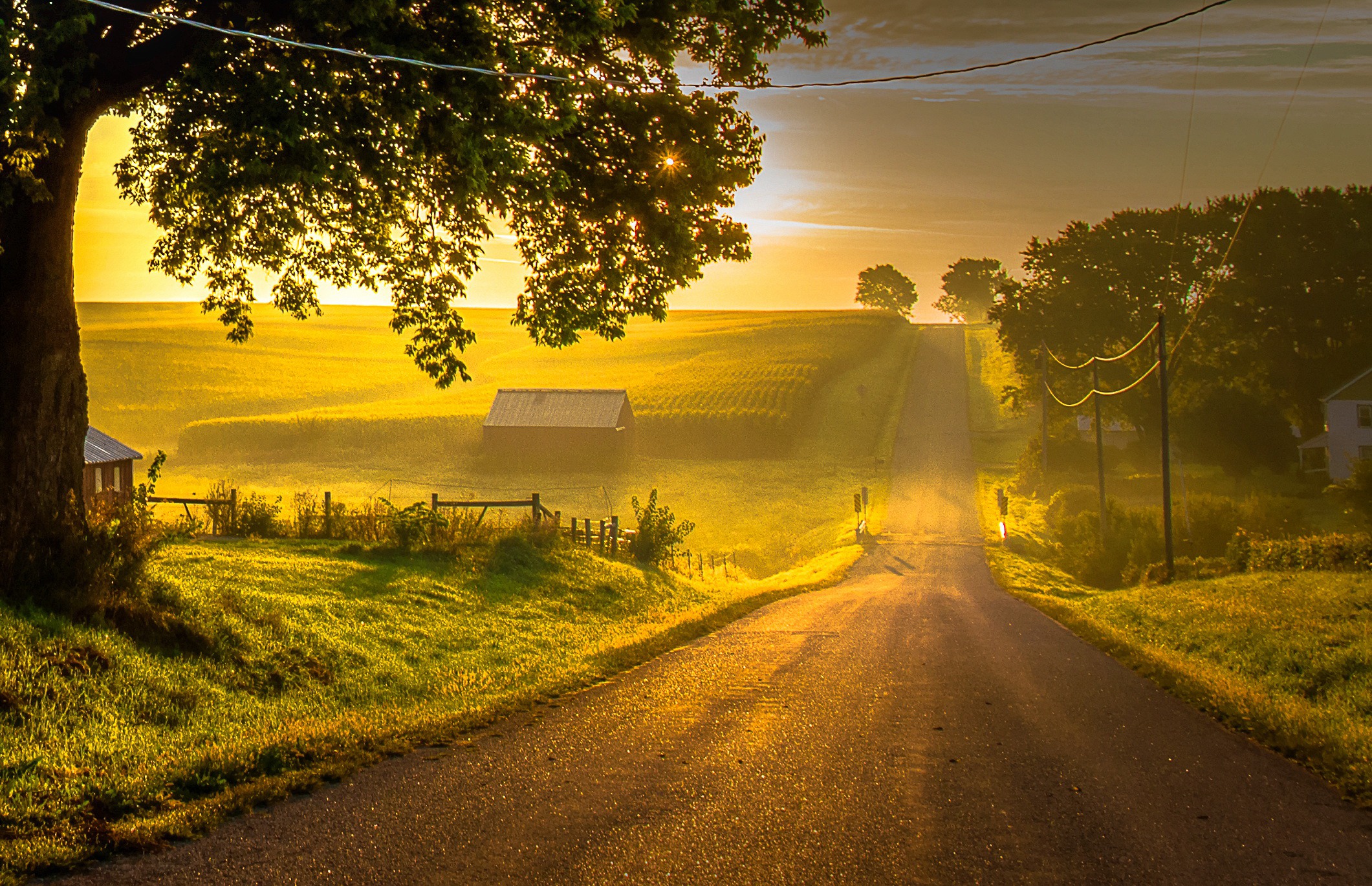 Download mobile wallpaper Landscape, Road, Field, Sunny, Man Made for free.