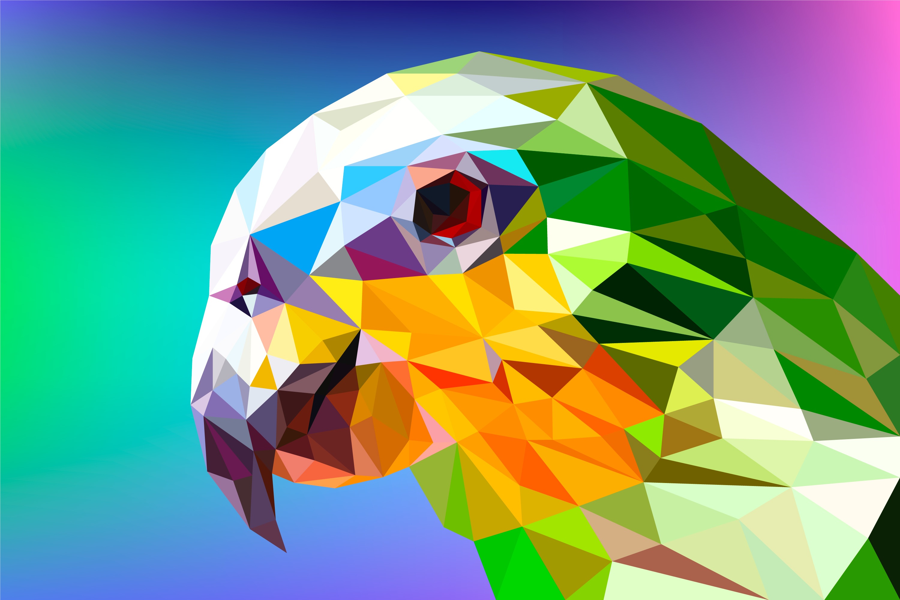 Free download wallpaper Abstract, Bird, Facets, Polygon, Low Poly, Parrot on your PC desktop