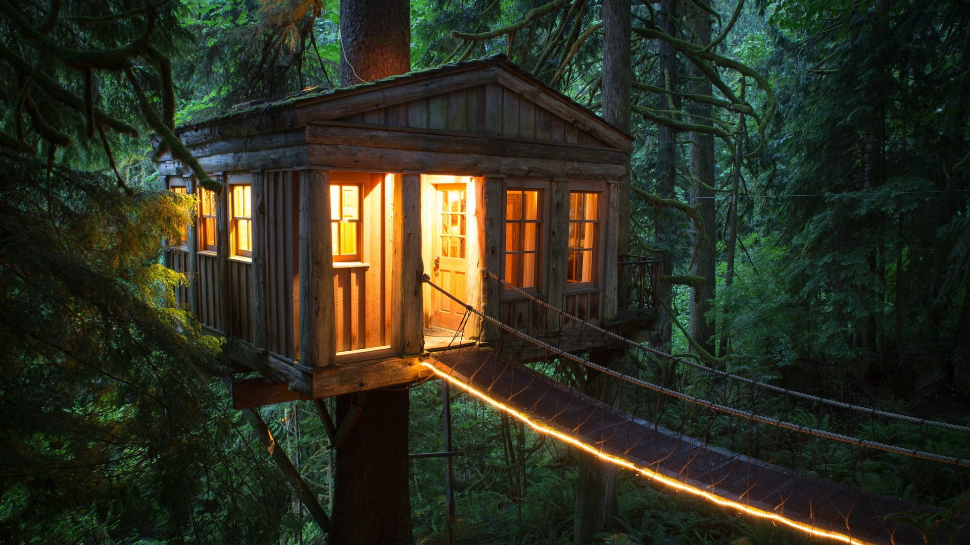 780059 скачать обои дом, сделано человеком, кабина, лес, дерево, дом на дереве - заставки и картинки бесплатно