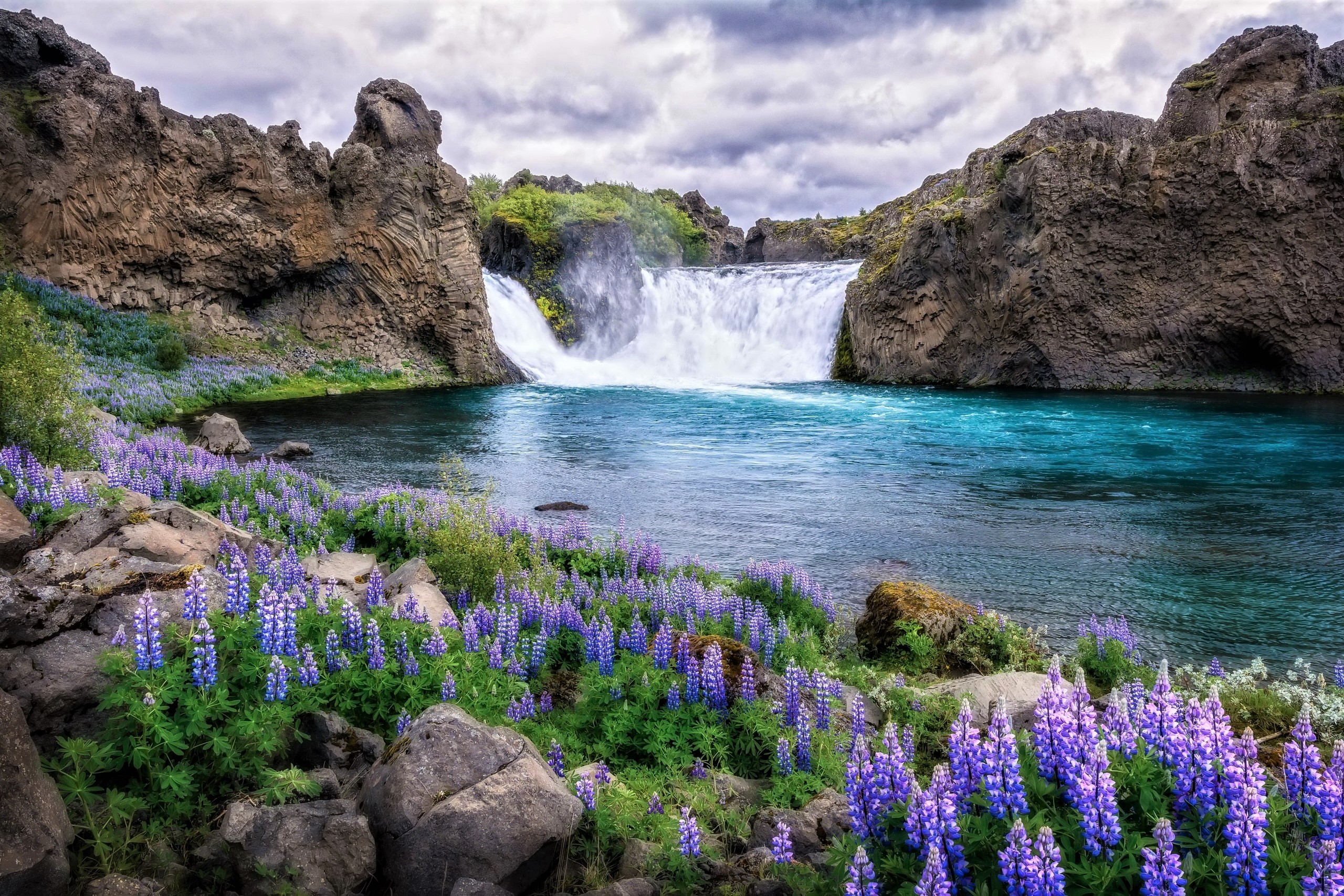 Download mobile wallpaper Waterfalls, Lake, Flower, Waterfall, Earth, Spring, Lupine for free.