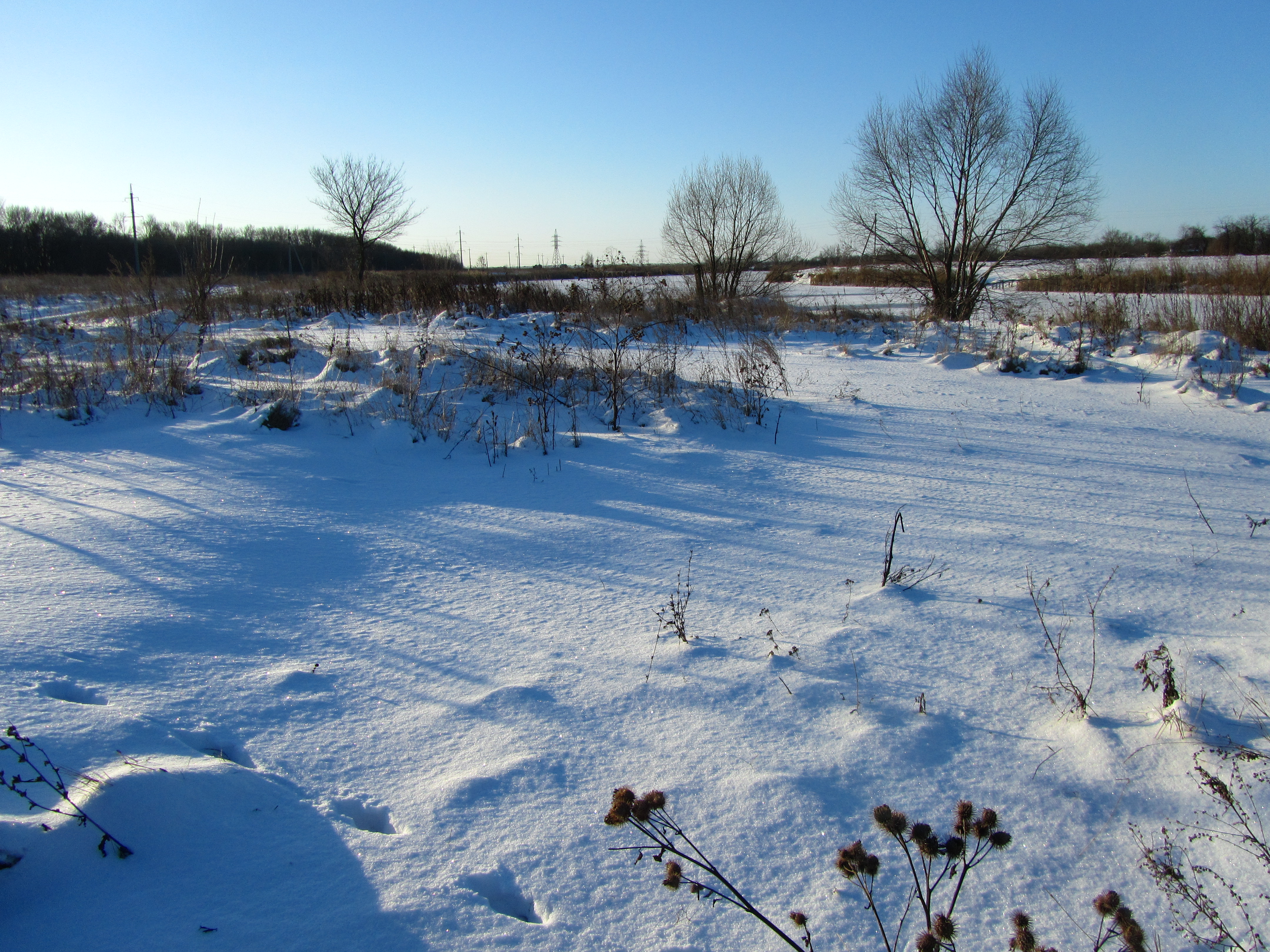 Téléchargez gratuitement l'image Hiver, Terre/nature sur le bureau de votre PC