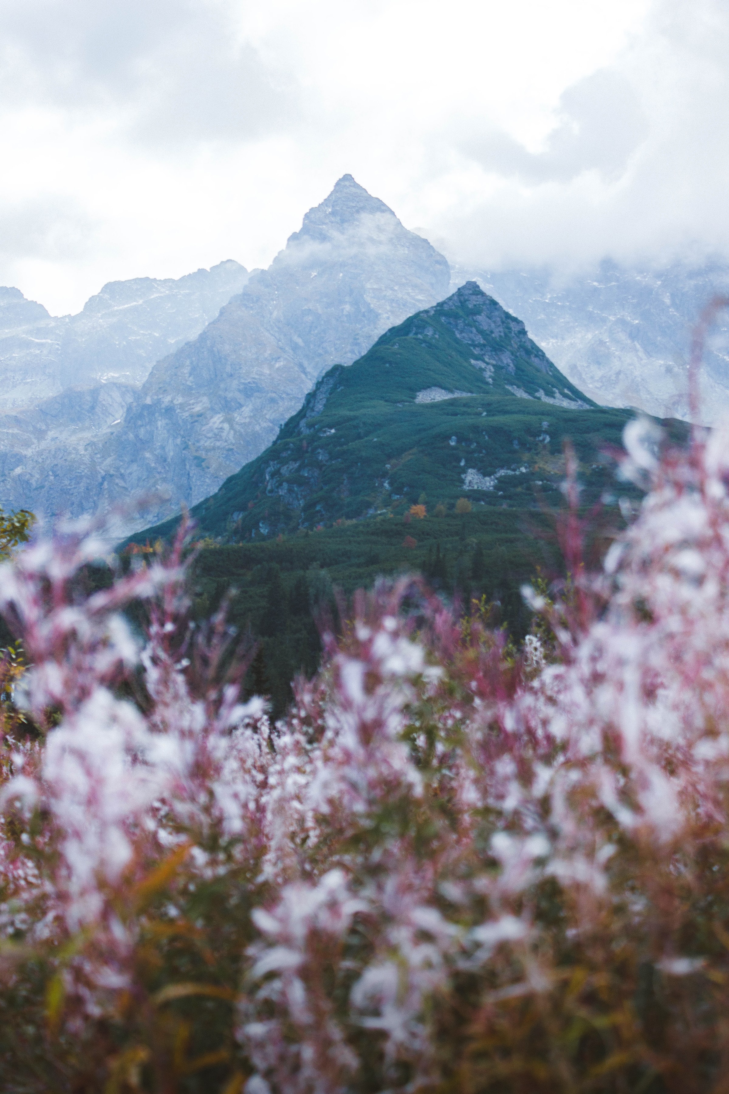 Download mobile wallpaper Tops, Clouds, Vertex, Mountains, Landscape, Flowers, Nature for free.