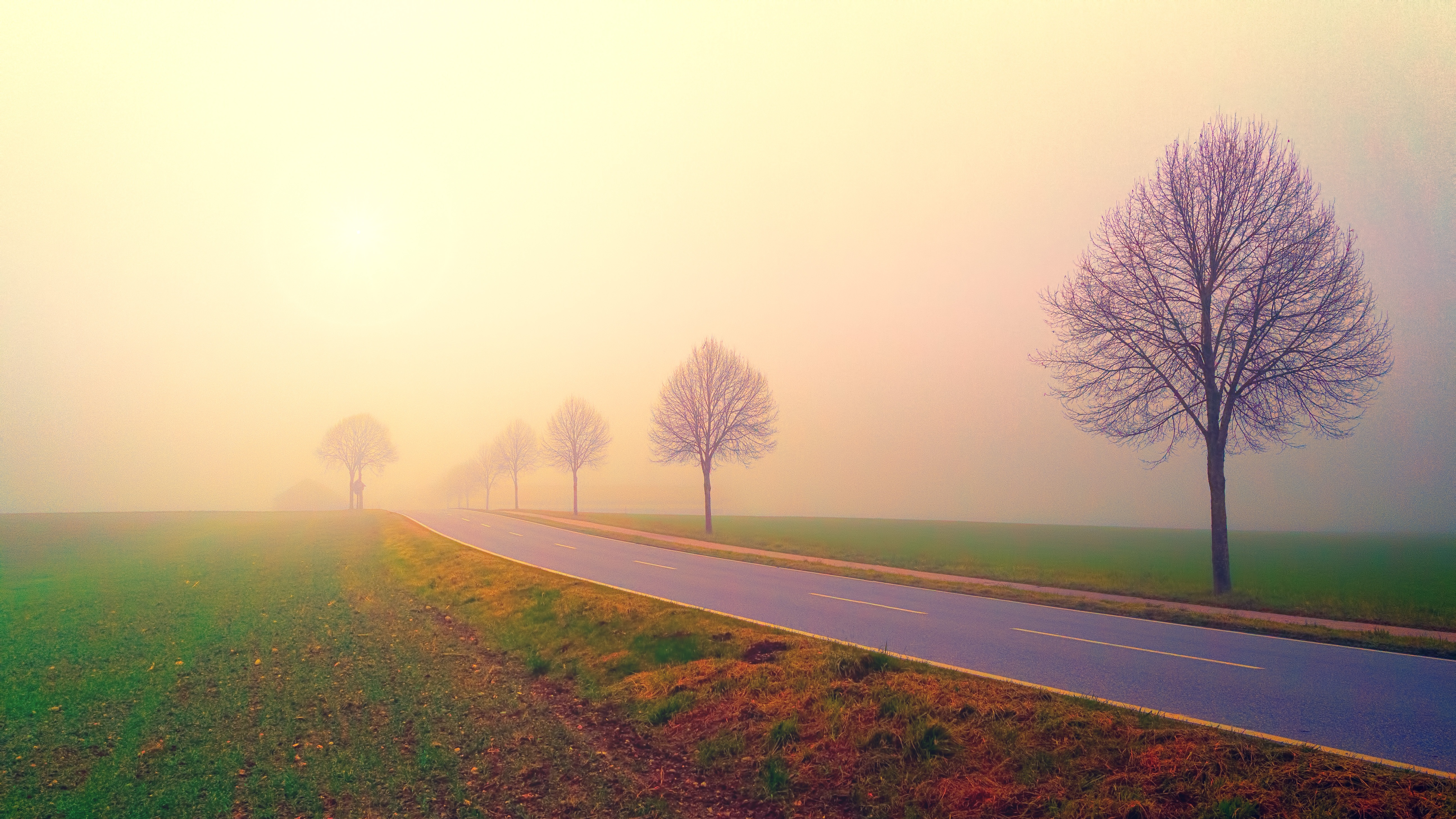 Free download wallpaper Road, Fog, Earth on your PC desktop