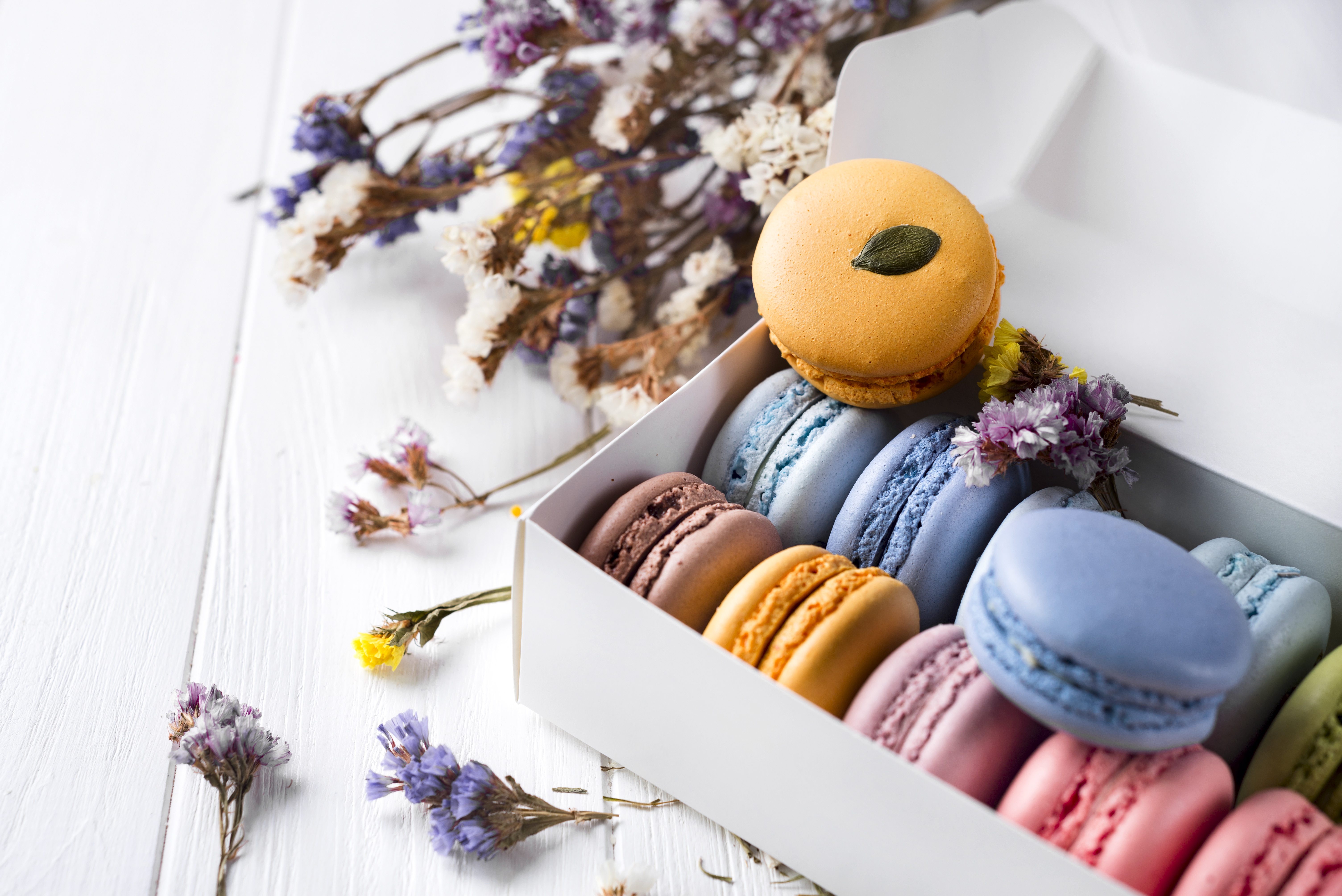 Download mobile wallpaper Food, Still Life, Sweets, Macaron for free.