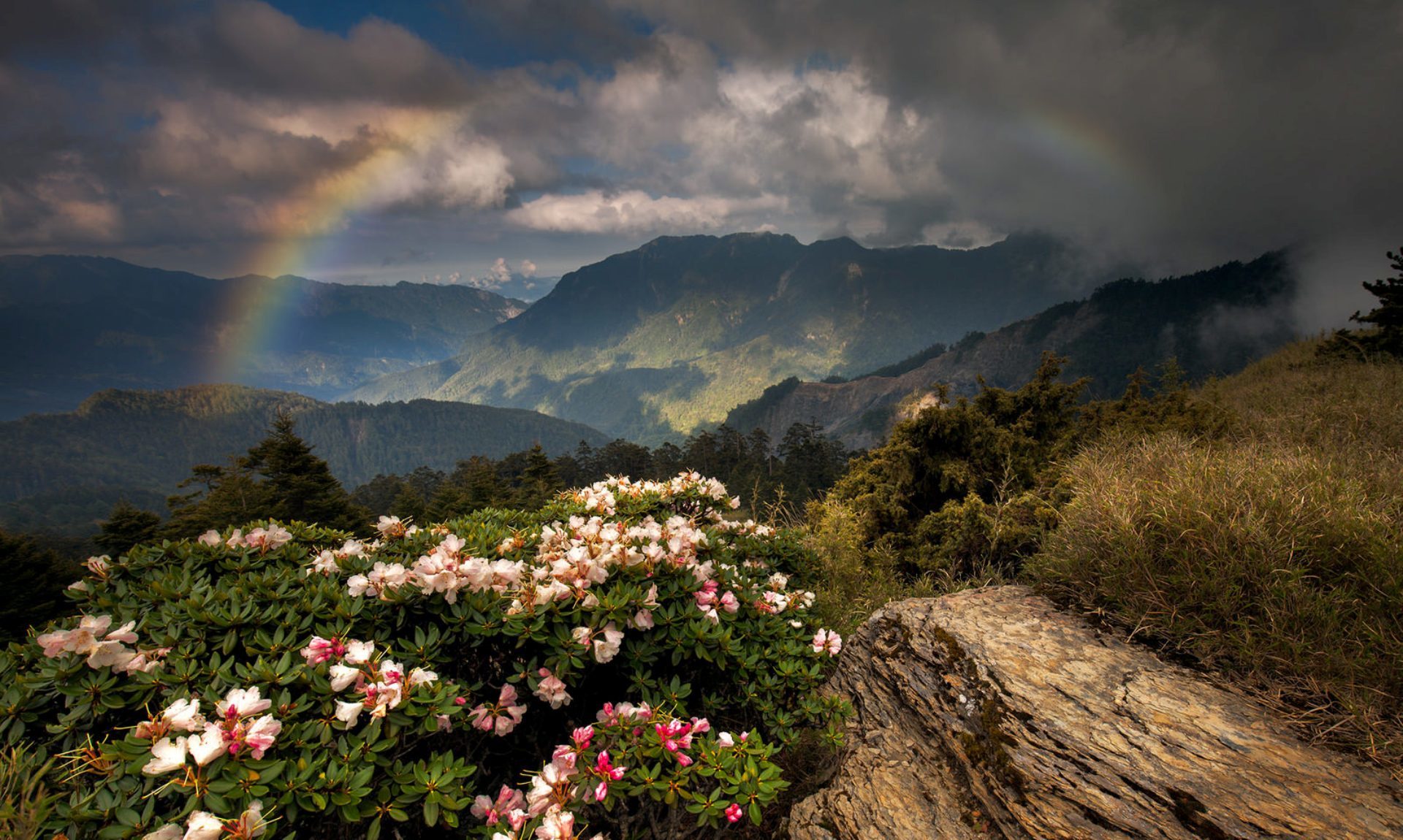 Free download wallpaper Landscape, Nature, Rainbow, Mountain, Flower, Earth, Cloud on your PC desktop