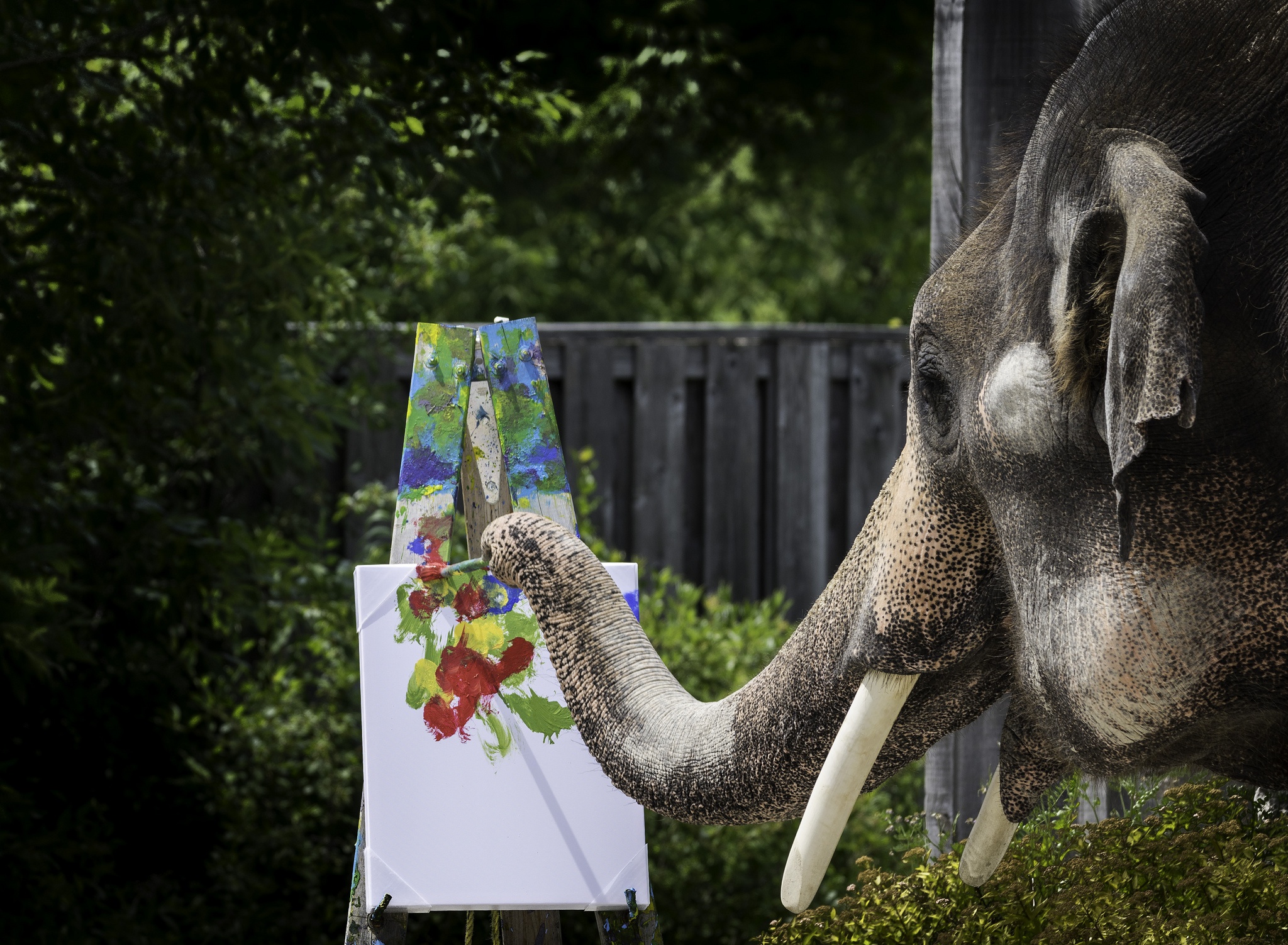Скачать картинку Животные, Слоны, Картина, Азиатский Слон в телефон бесплатно.