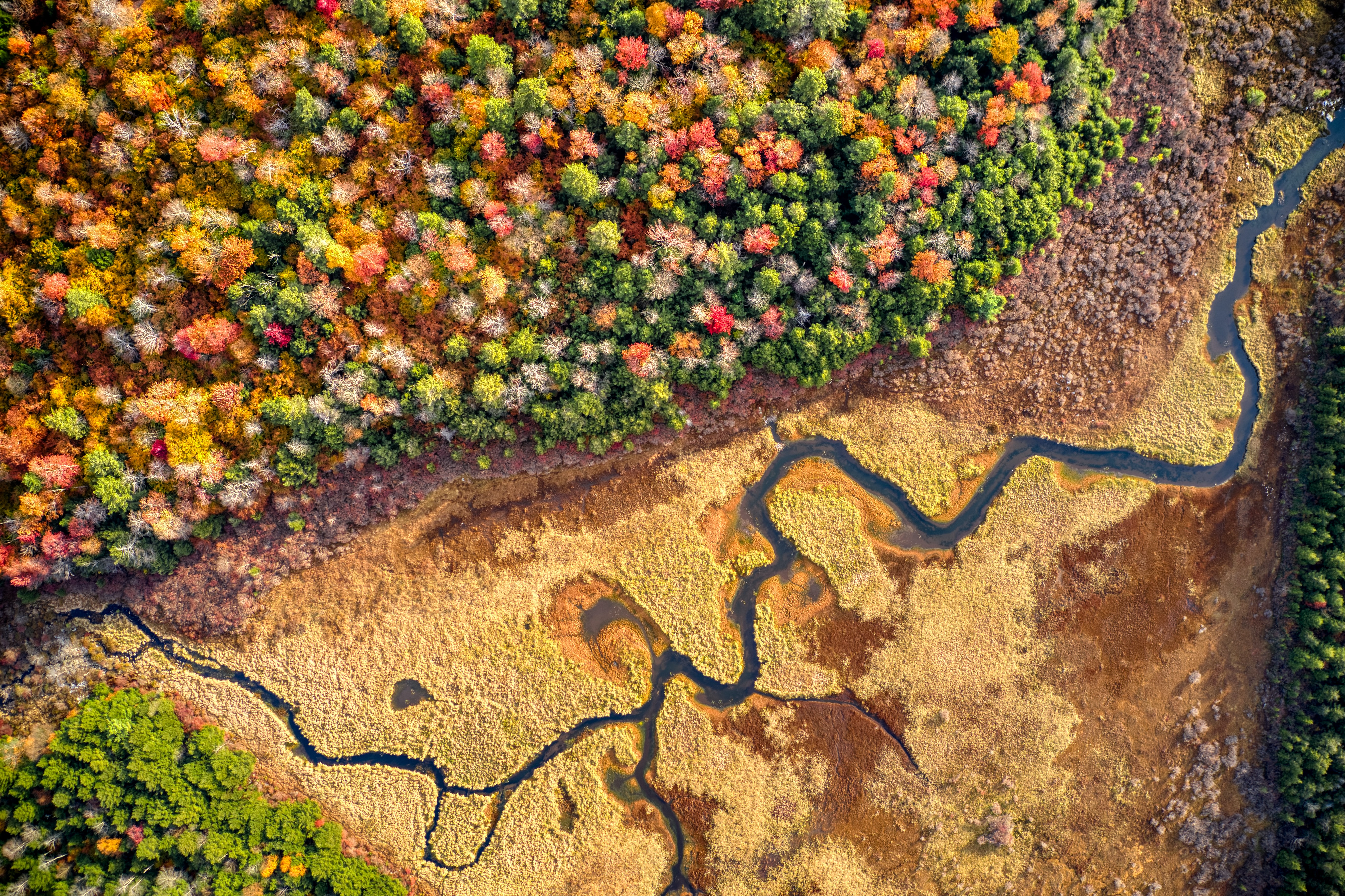 Download mobile wallpaper View From Above, Forest, Relief, Rivers, Nature for free.