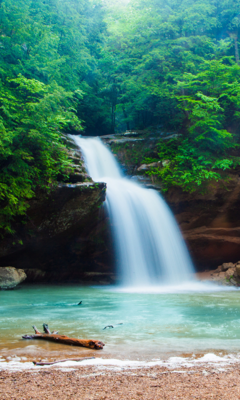 Descarga gratuita de fondo de pantalla para móvil de Naturaleza, Cascadas, Lago, Cascada, Bosque, Tierra/naturaleza.