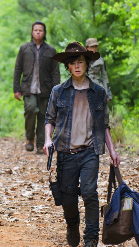Download mobile wallpaper Tv Show, The Walking Dead, Carl Grimes, Chandler Riggs, Michonne (The Walking Dead), Danai Gurira for free.